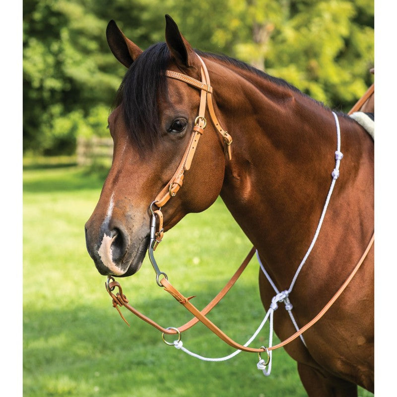 FLECHE DE MARTINGALE MOUSQUETONS ERIC THOMAS PRO