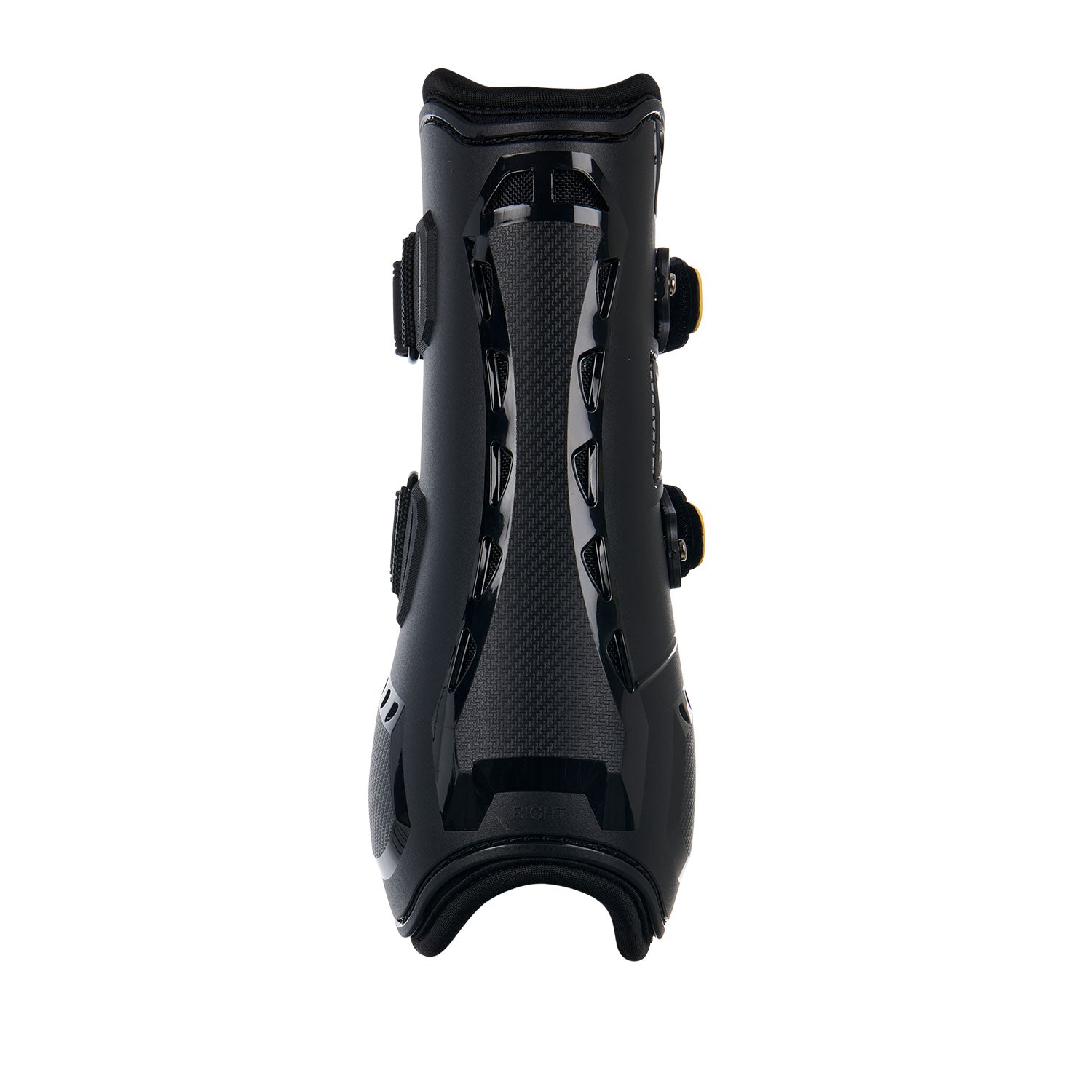 Paratendini Equestro Evolution in Neoprene