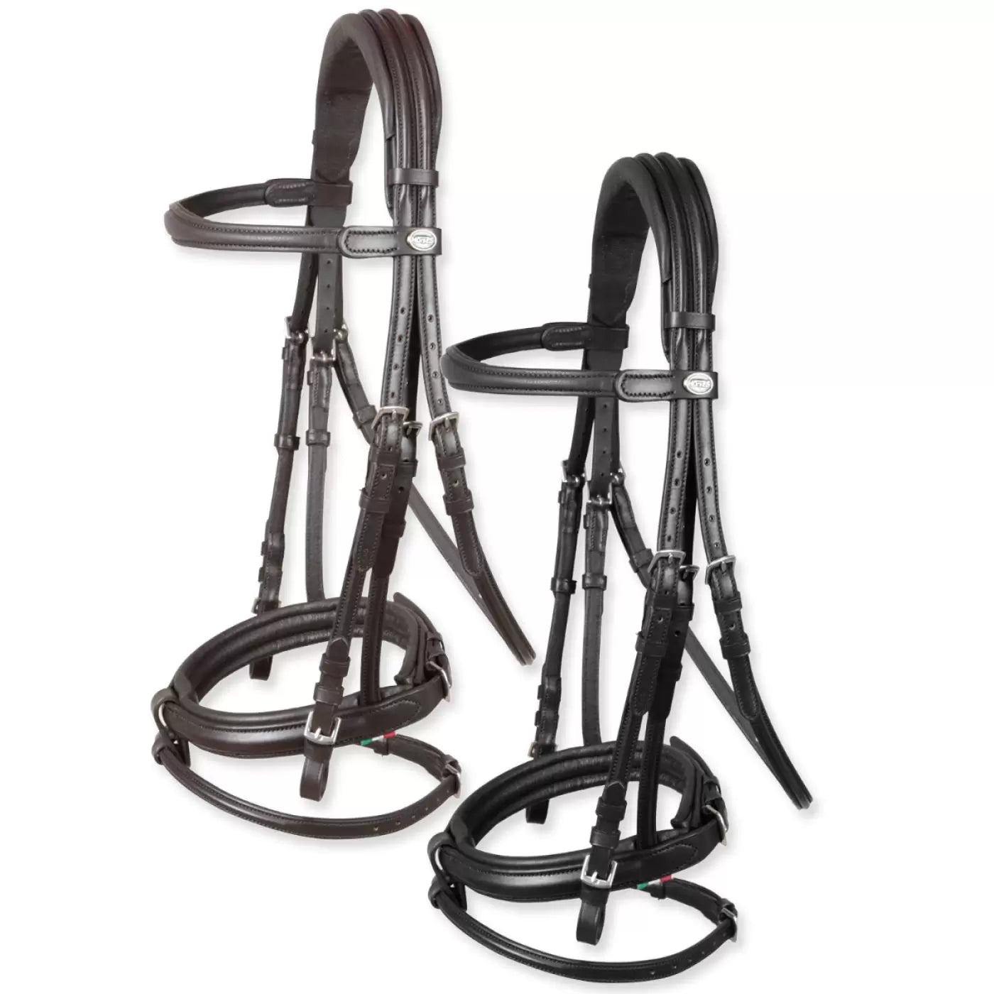 Briglia Testiera per equitazione Horses Arezzo Comfort
