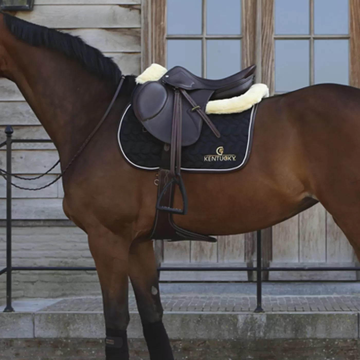 Sottosella Kentucky Bordo In Eco-Pelle