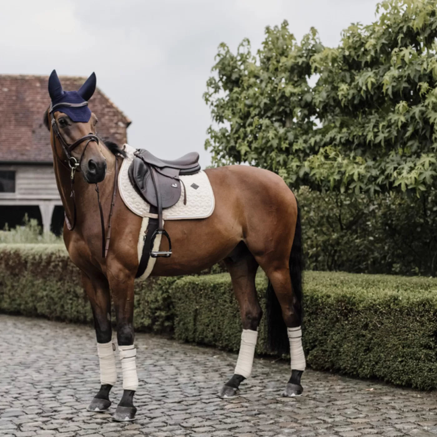 Sottosella Salto Kentucky Wool effetto Lana