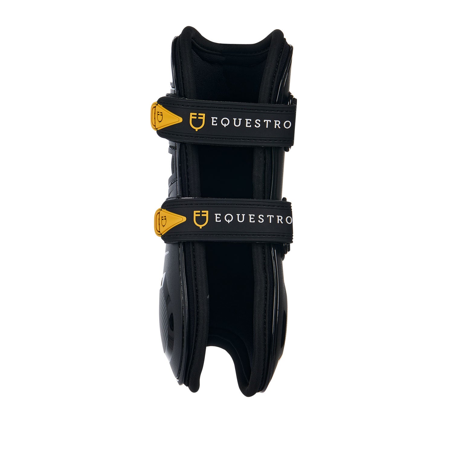 Paratendini Equestro Evolution in Neoprene