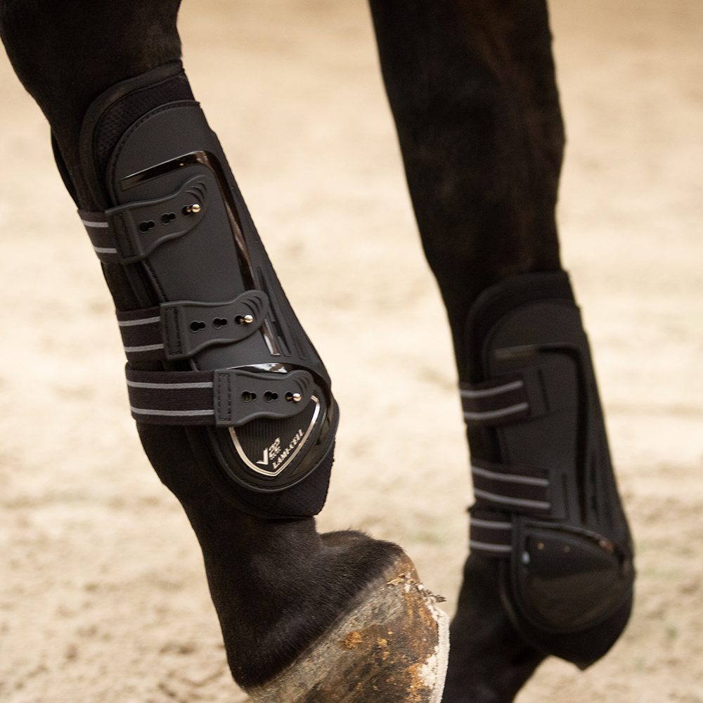 Paratendini da Dressage Lamicell Carbon V22 con protezione al Nodello