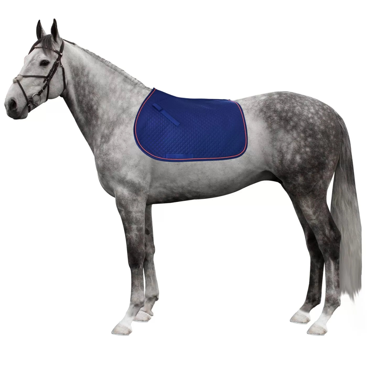 Sottosella Horses "Inline" leggero e traspirante