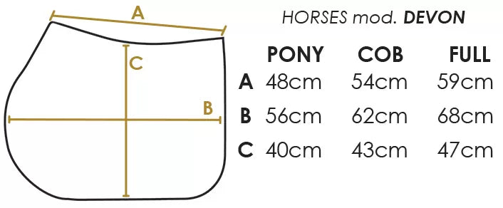 Sottosella Salto Horses Devon