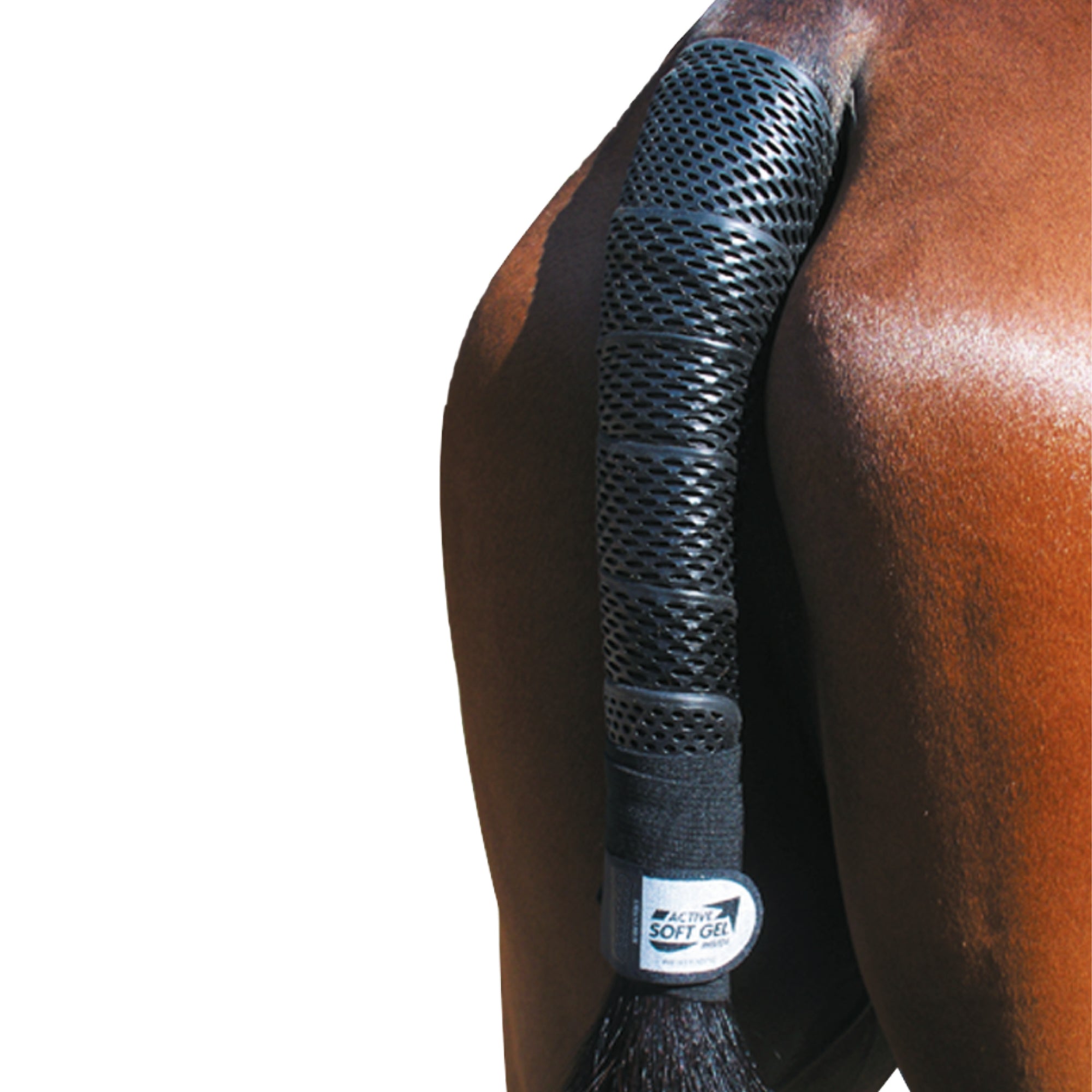 Fascia paracoda per la coda Acavallo in Gel