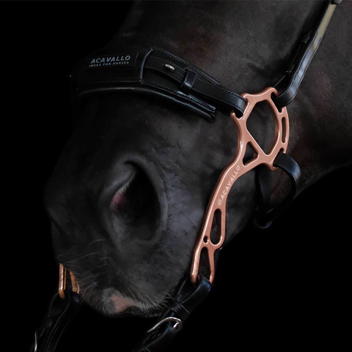 Horse Hackamore Bitless In Pelle, Guance In Pelle Di Cavallo - Foto 14