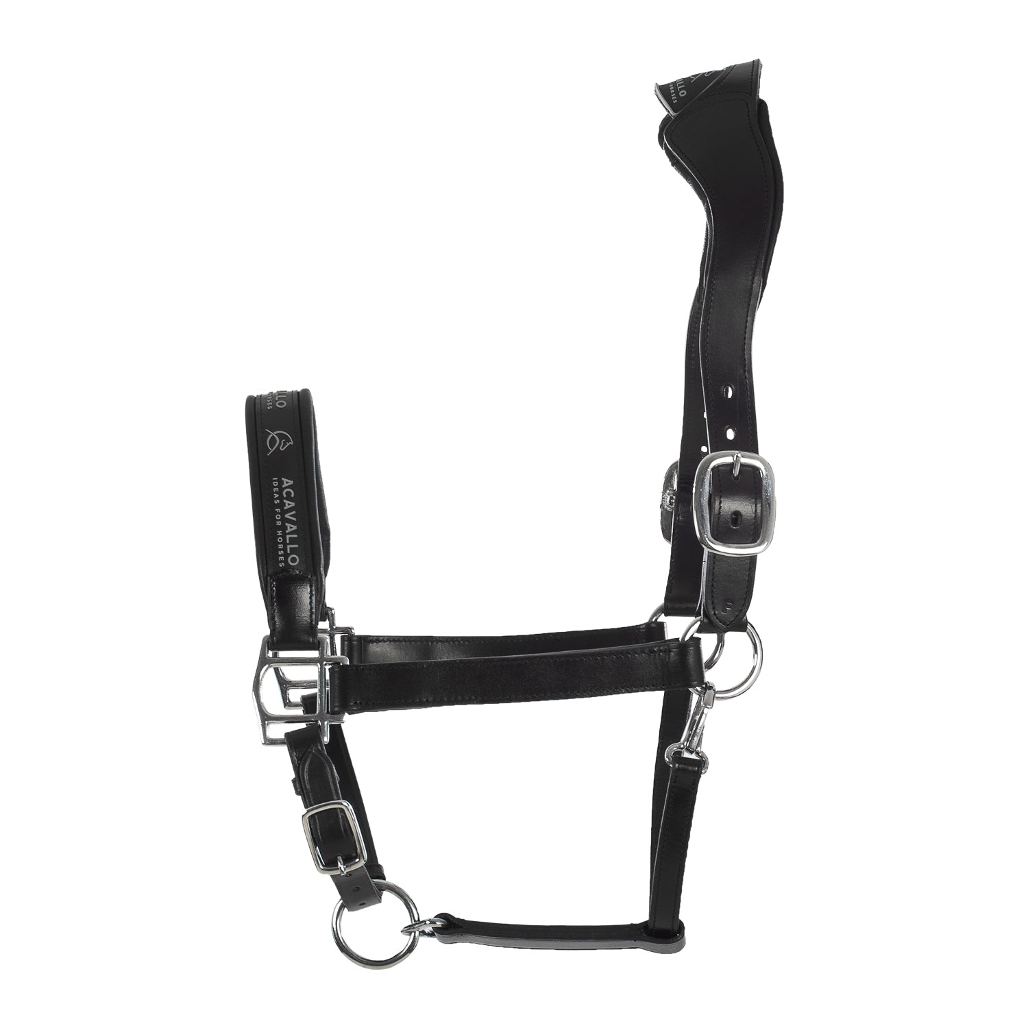 Cavezza capezza per cavalli Acavallo anatomica in pelle di vitello