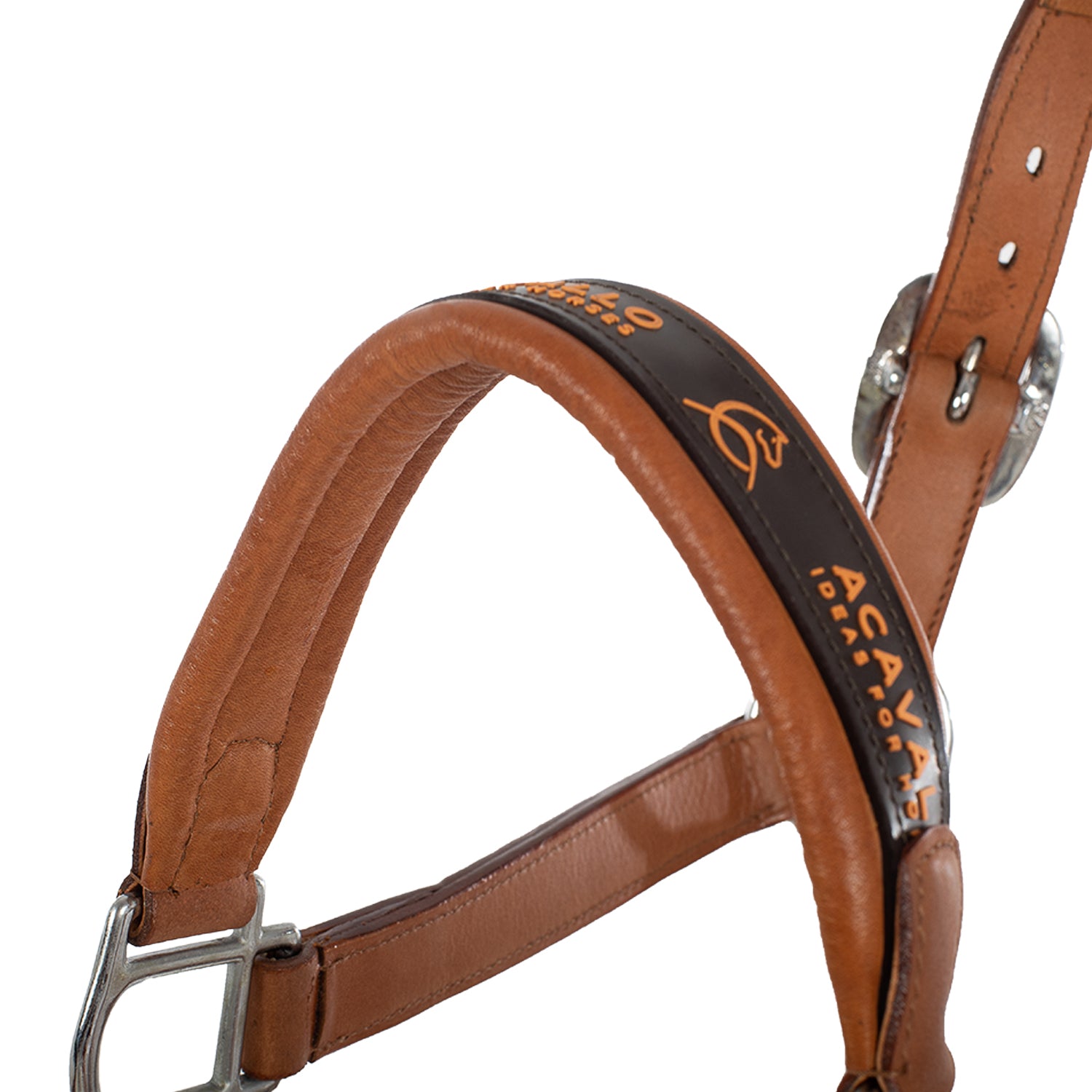 Cavezza capezza per cavalli Acavallo anatomica in pelle di vitello