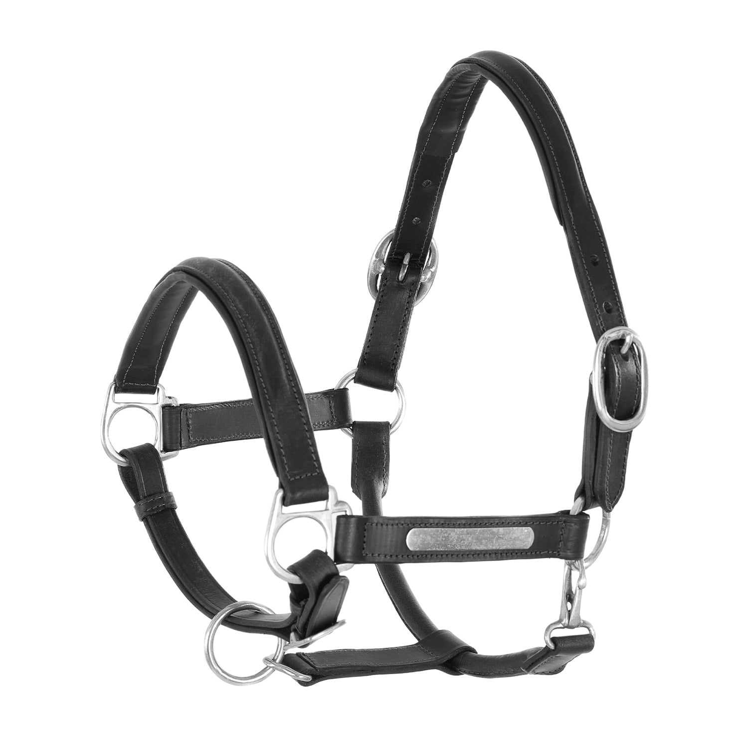 Cavezzza capezza per cavallo in Cuoio Superior e Fibbie Ottone