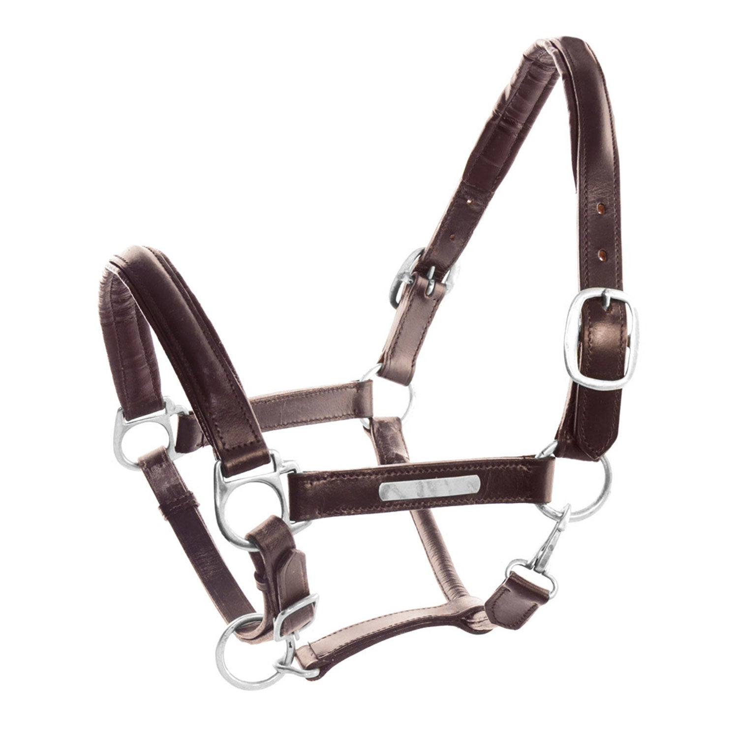 Cavezzza capezza per cavallo in Cuoio Superior e Fibbie Ottone