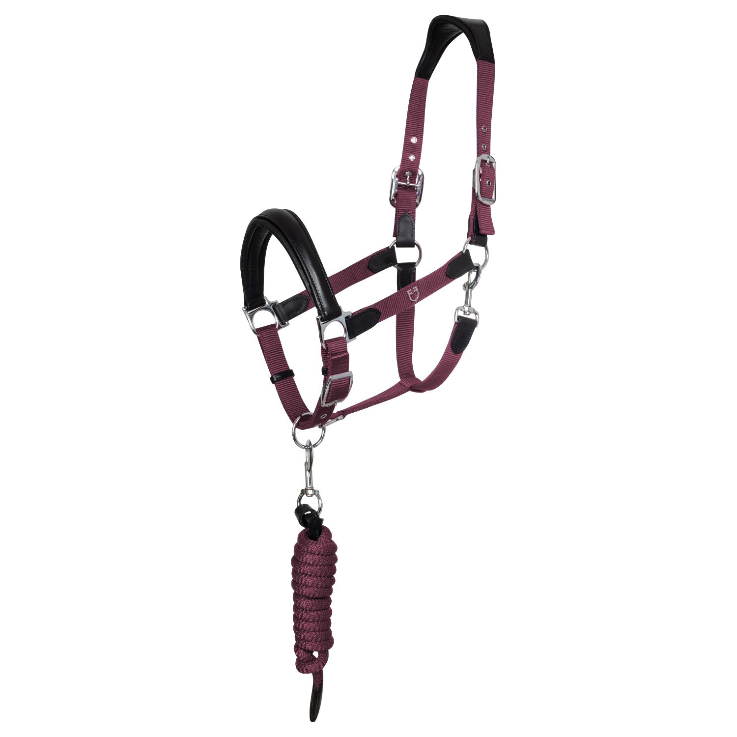 Cavezza capezza e lunghina per cavallo Equestro ergonomica con inserti in cuoio