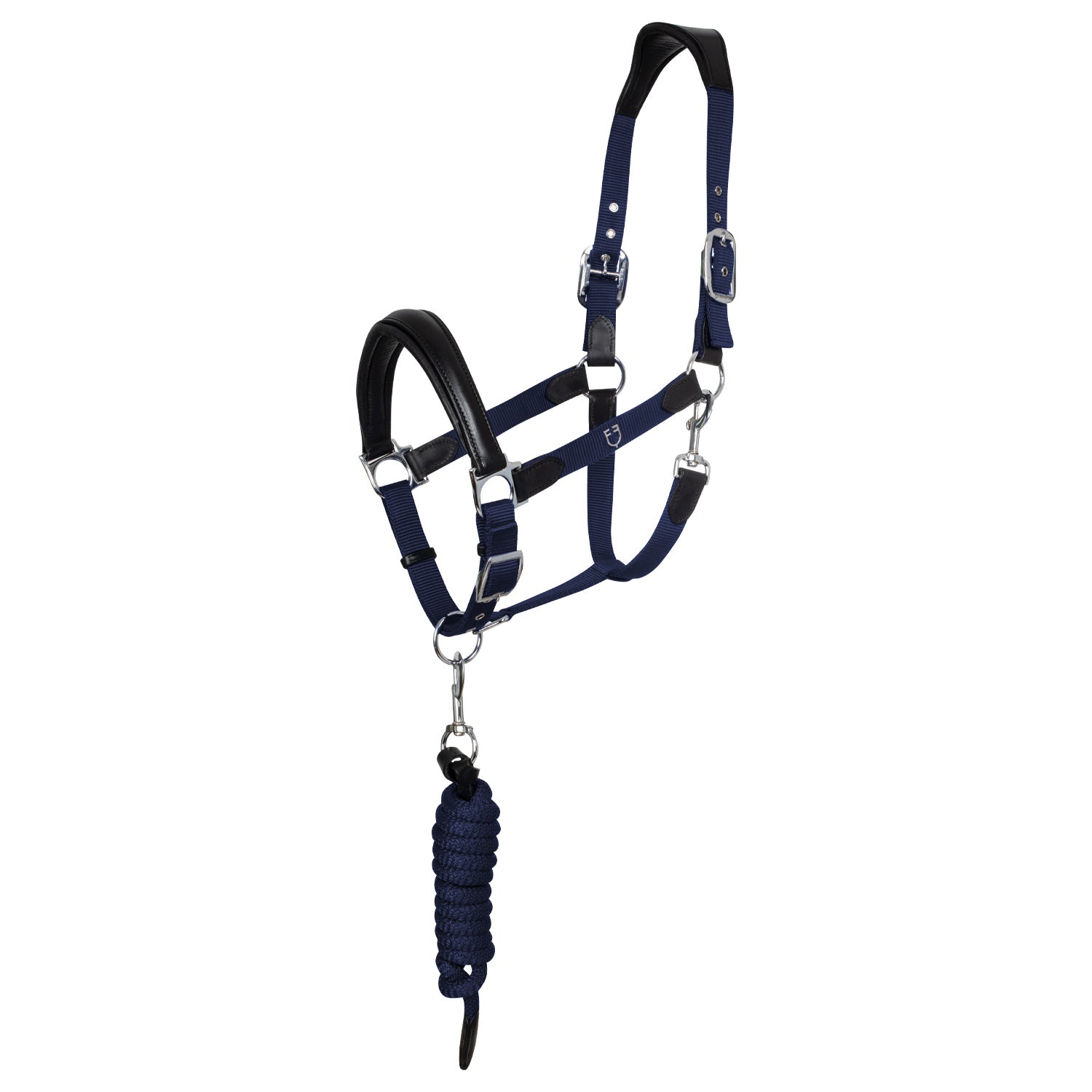 Cavezza capezza e lunghina per cavallo Equestro ergonomica con inserti in cuoio