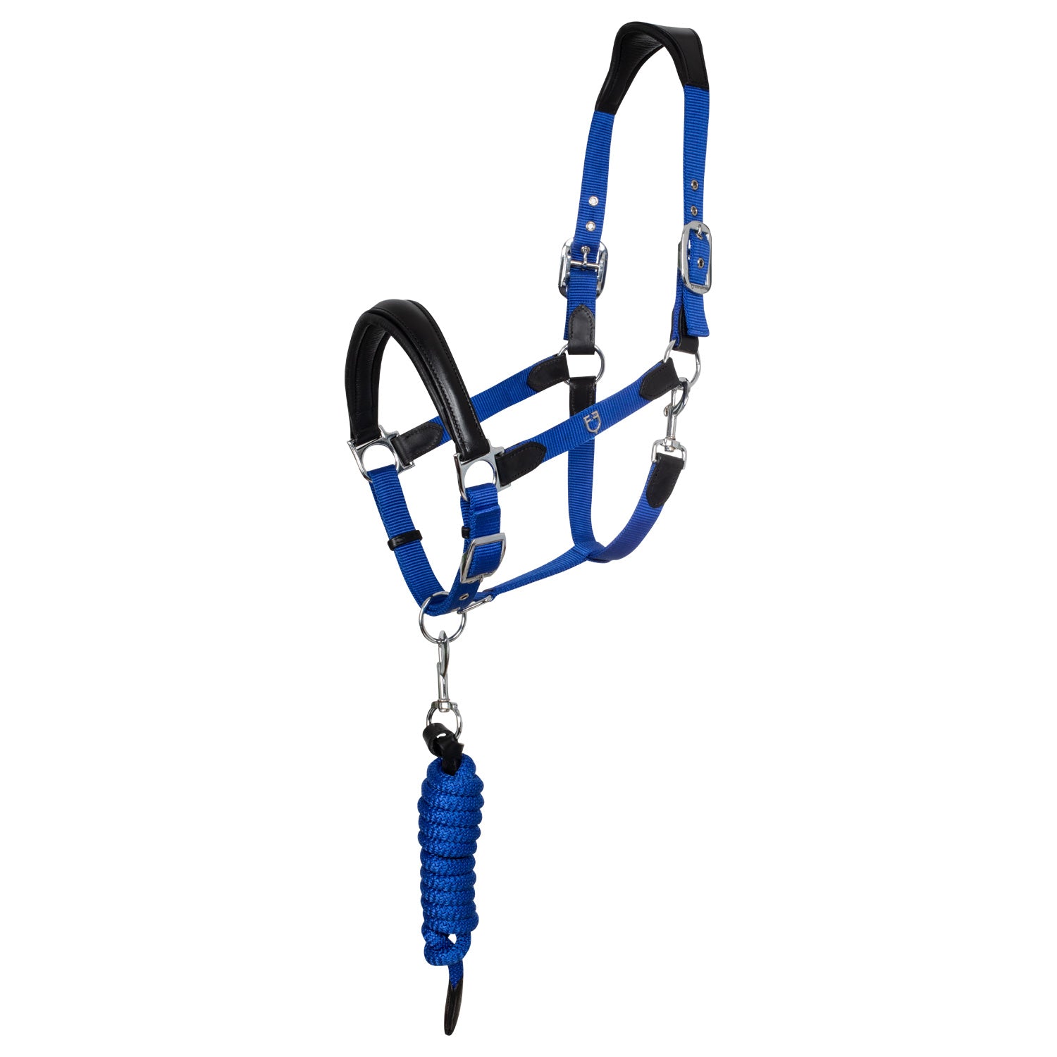 Cavezza capezza e lunghina per cavallo Equestro ergonomica con inserti in cuoio