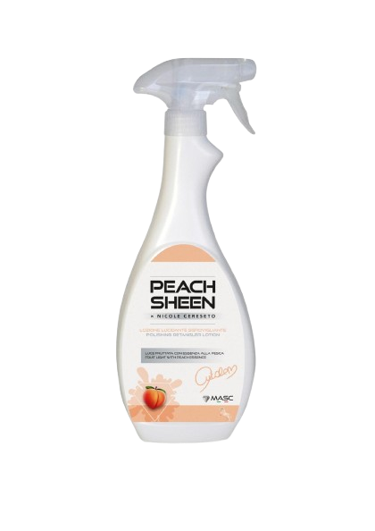 Districante Sgrovigliante Lucidante Spray NICOLE CERESETO for MASC
