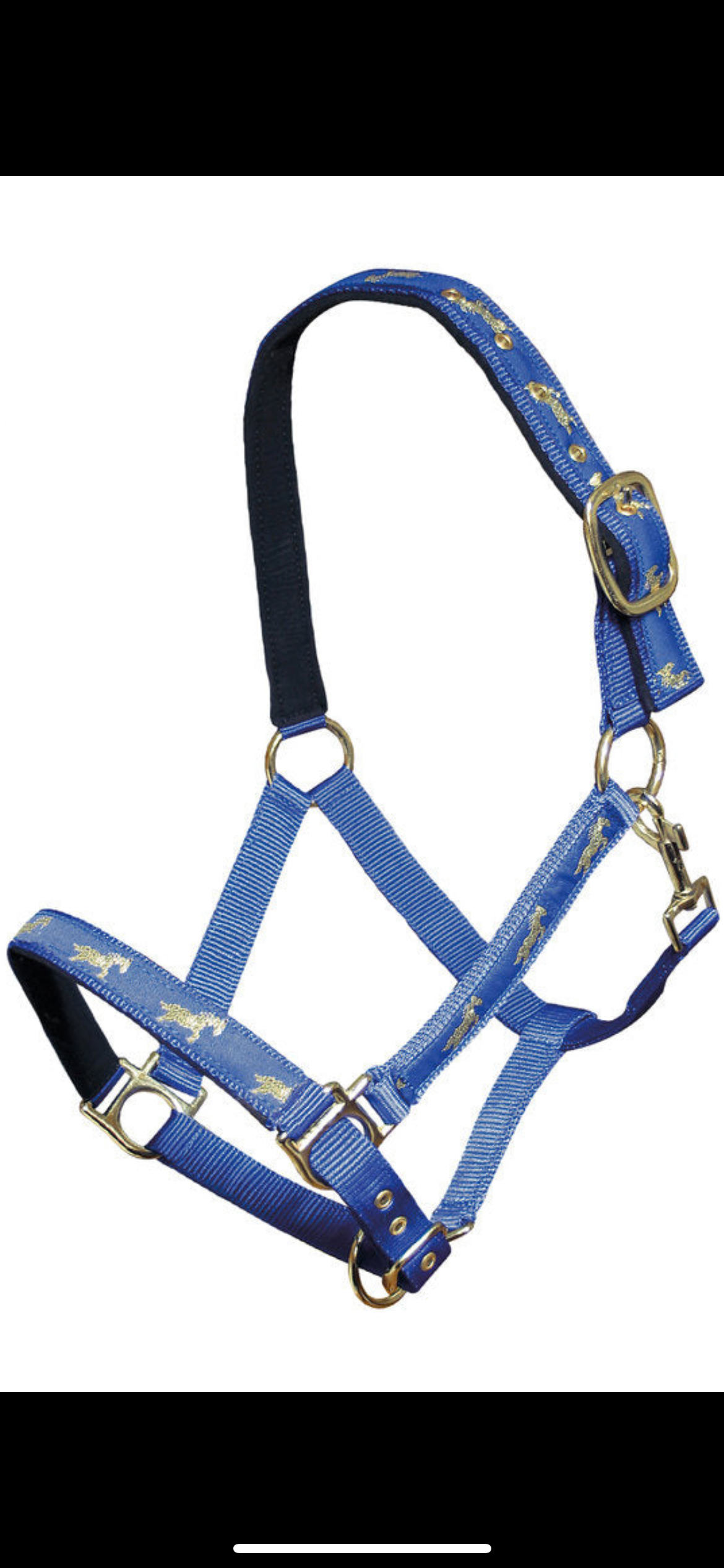 Cavezza blu con cavalli dorati misura Full