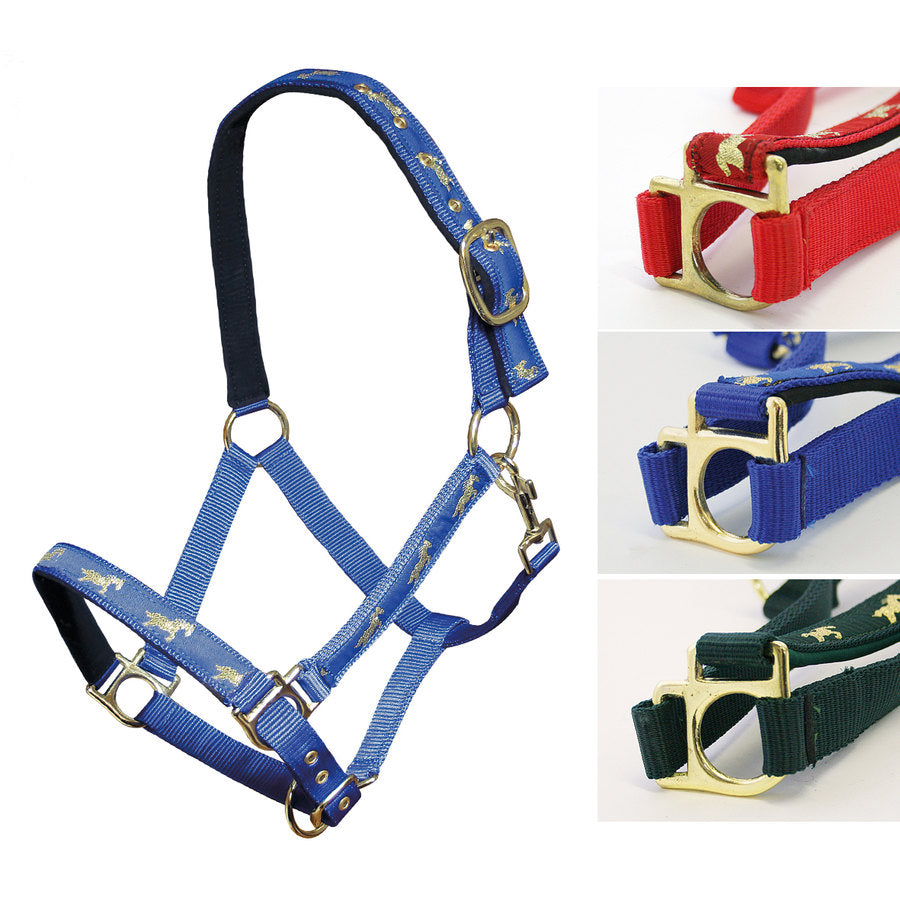 Cavezza blu con cavalli dorati misura Full