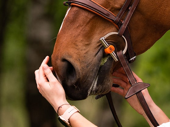 Imboccature: Filetti in acciaio, alpacca o rame?