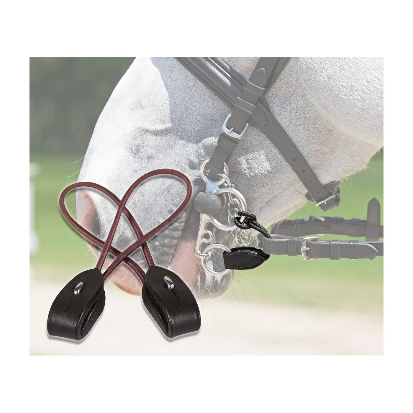 Accessori & Ricambi (Testiere e Redini)