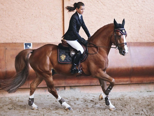 *Accessori* (Cavaliere Inglese)