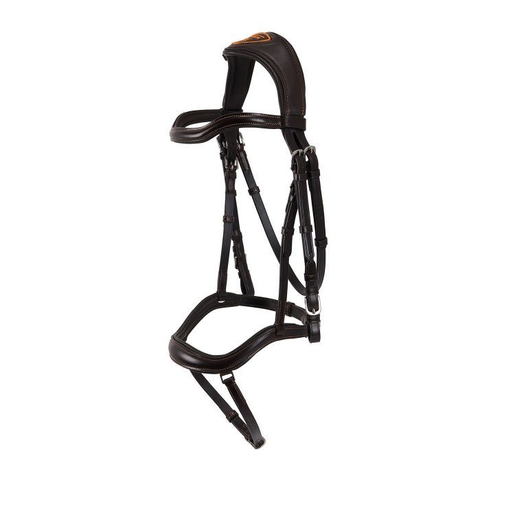 Testiera anatomica Acavallo Allegoria