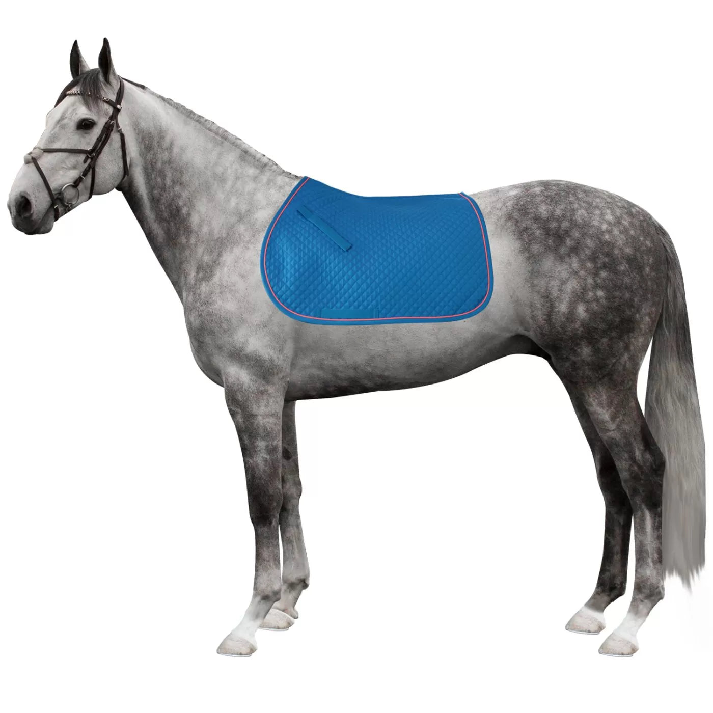 Sottosella Horses "Inline" leggero e traspirante