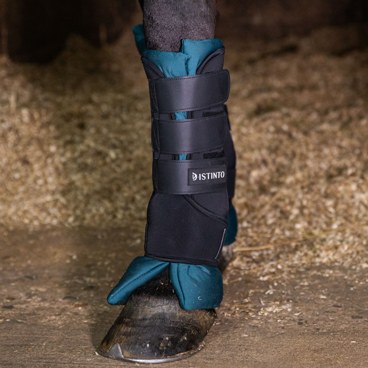 Set Stableboot D-Istinto (Fasce e sottofasce) da riposo con cuscini imbottiti