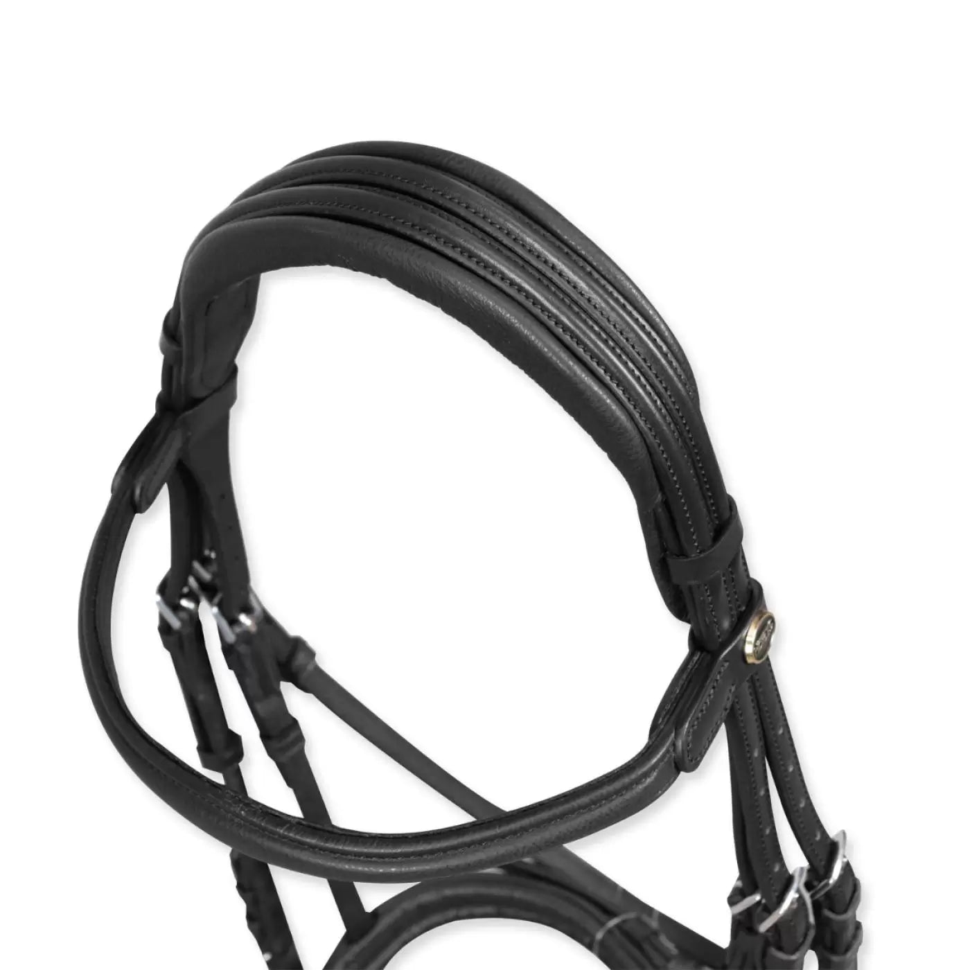 Briglia Testiera per equitazione Horses Arezzo Comfort