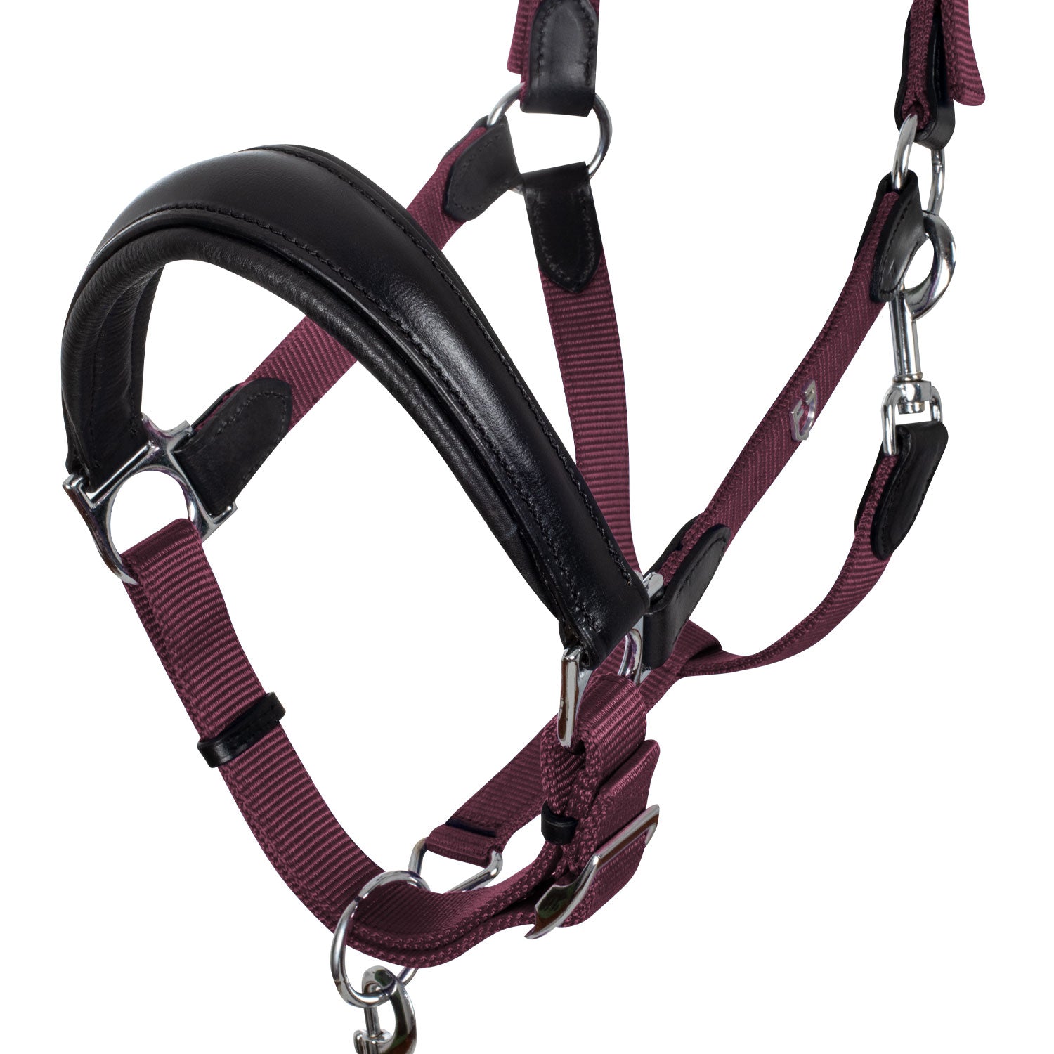 Cavezza capezza e lunghina per cavallo Equestro ergonomica con inserti in cuoio
