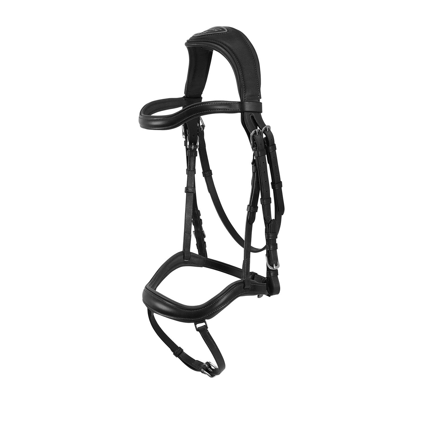 Acavallo Testiera Anatomica Allegoria