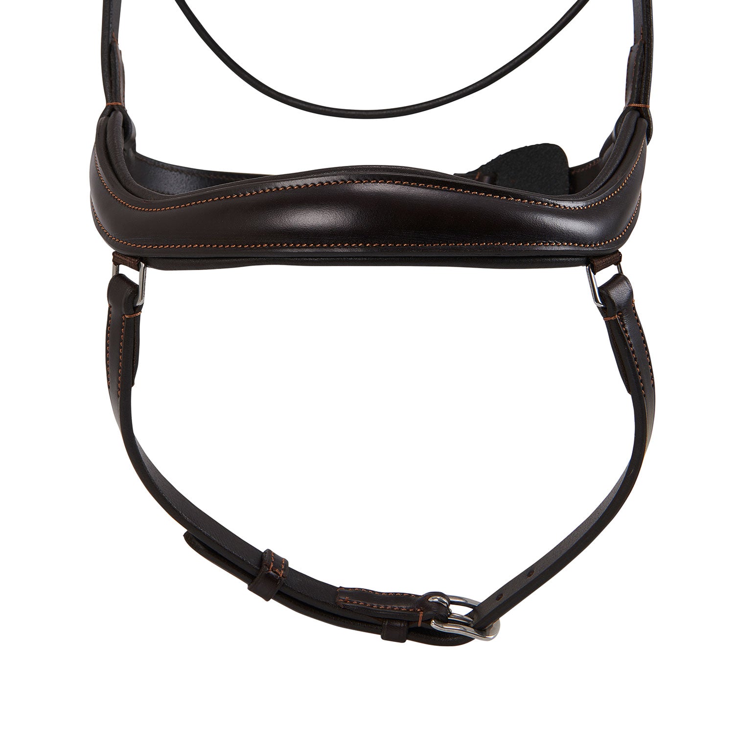 Acavallo Testiera Anatomica Allegoria