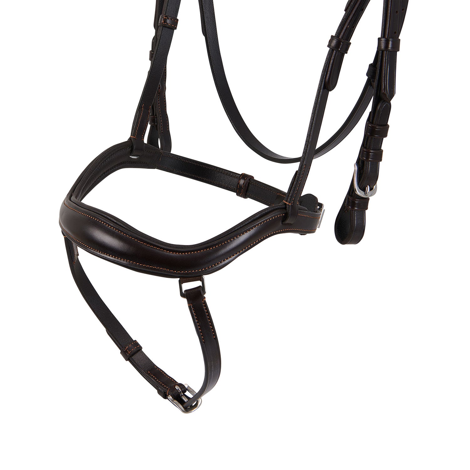 Acavallo Testiera Anatomica Allegoria