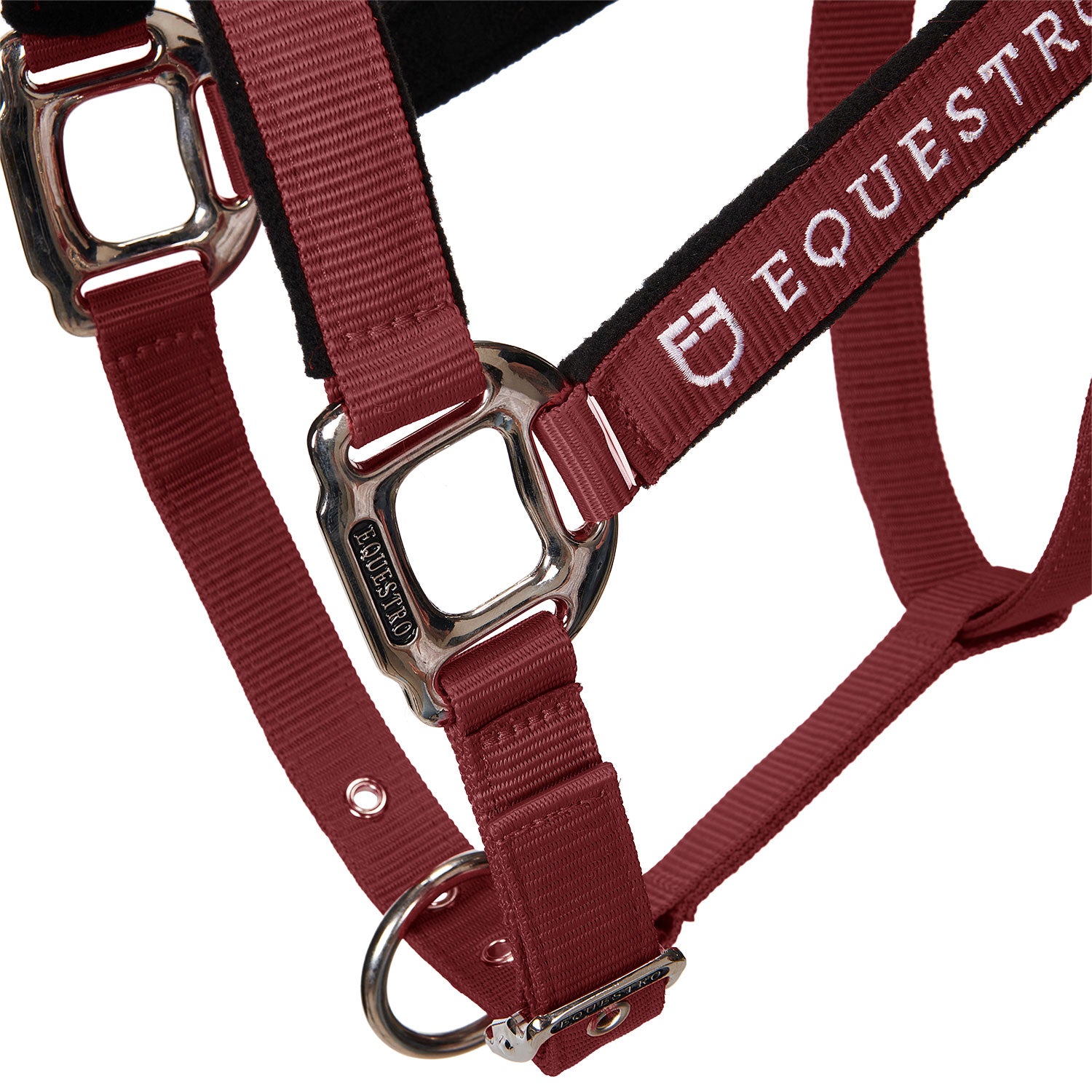 Equestro Cavezza Doppia Regolazione Imbottita