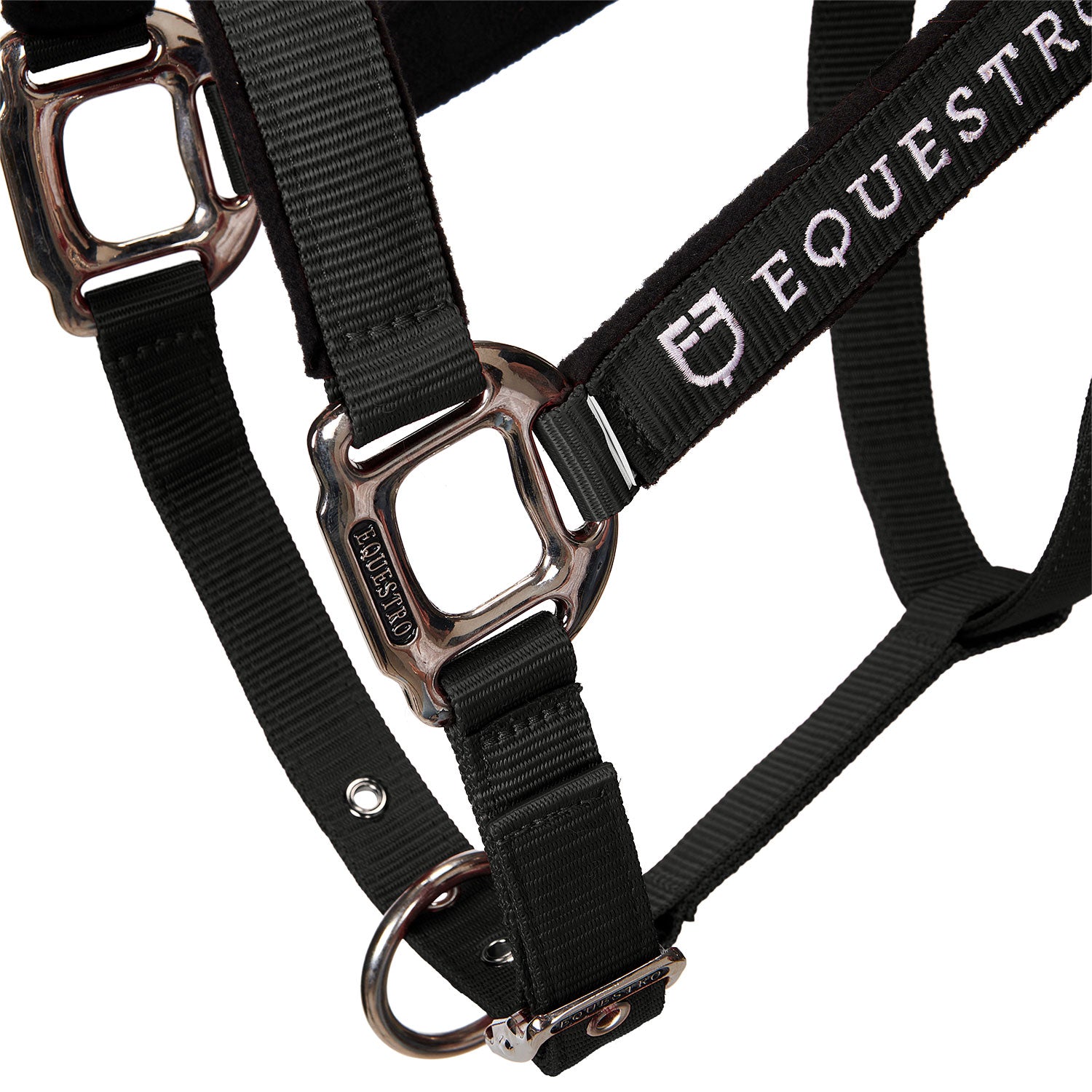 Equestro Cavezza Doppia Regolazione Imbottita