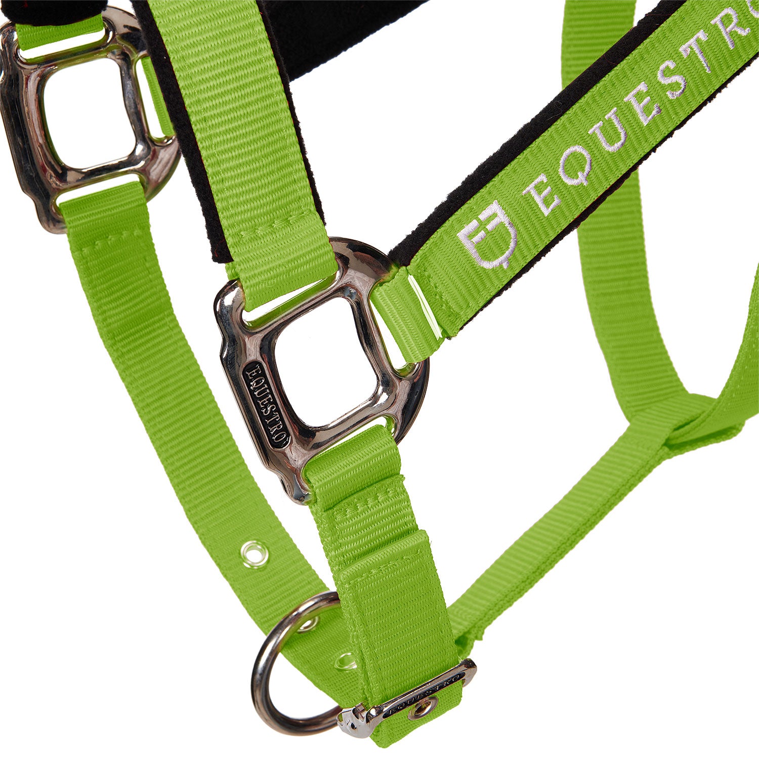 Equestro Cavezza Doppia Regolazione Imbottita