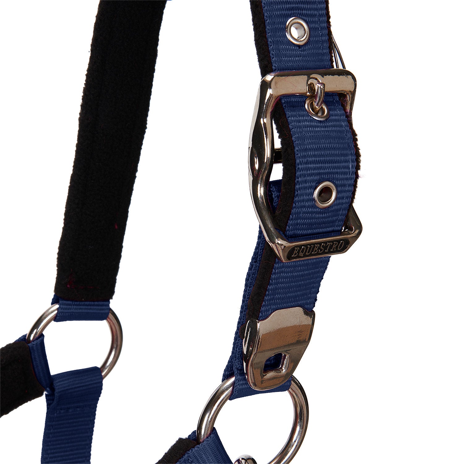 Equestro Cavezza Doppia Regolazione Imbottita