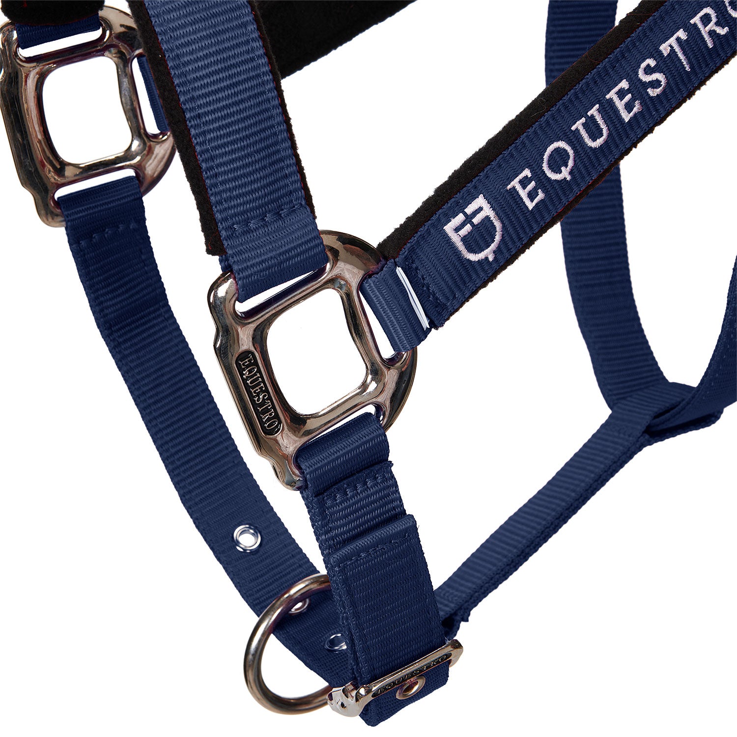 Equestro Cavezza Doppia Regolazione Imbottita