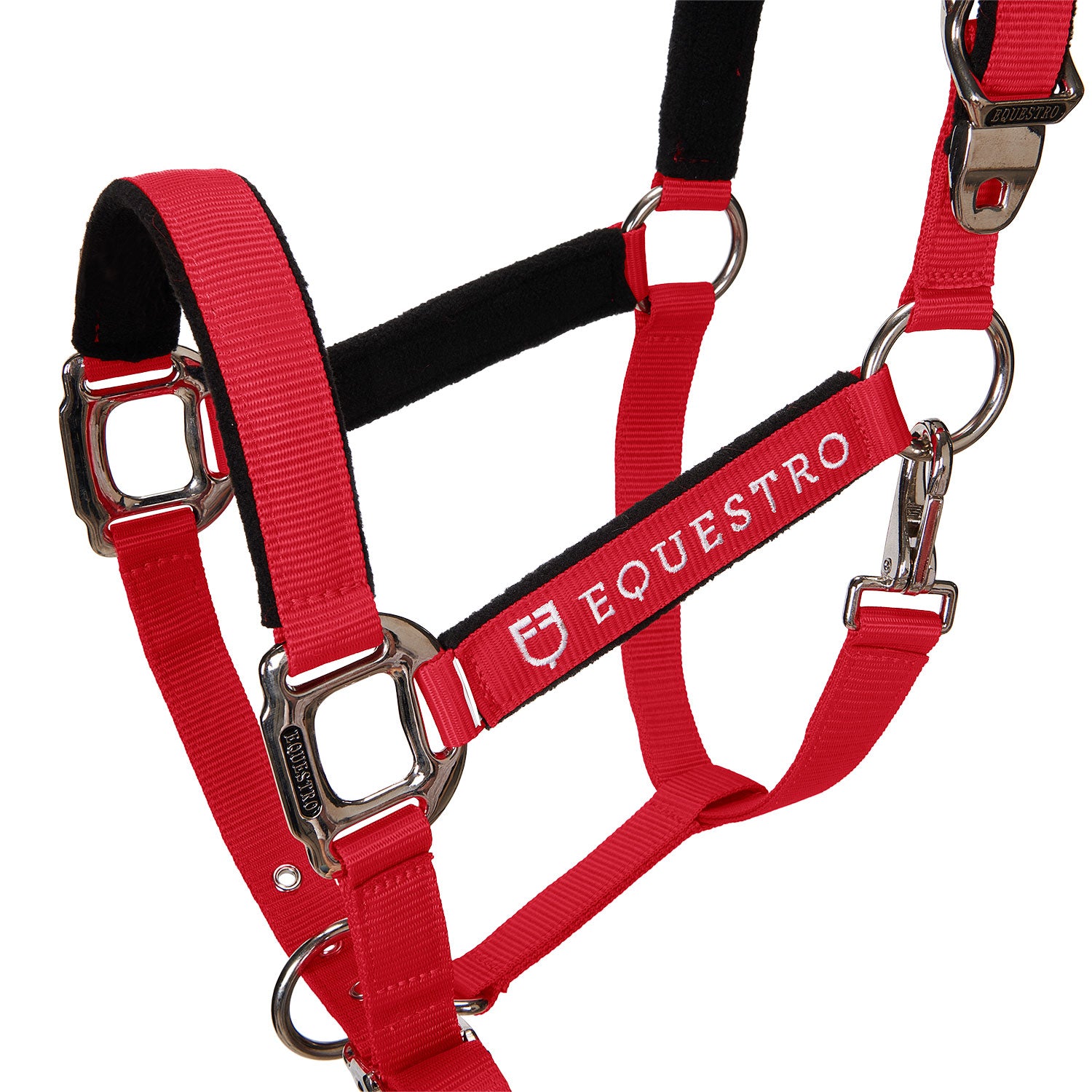 Equestro Cavezza Doppia Regolazione Imbottita