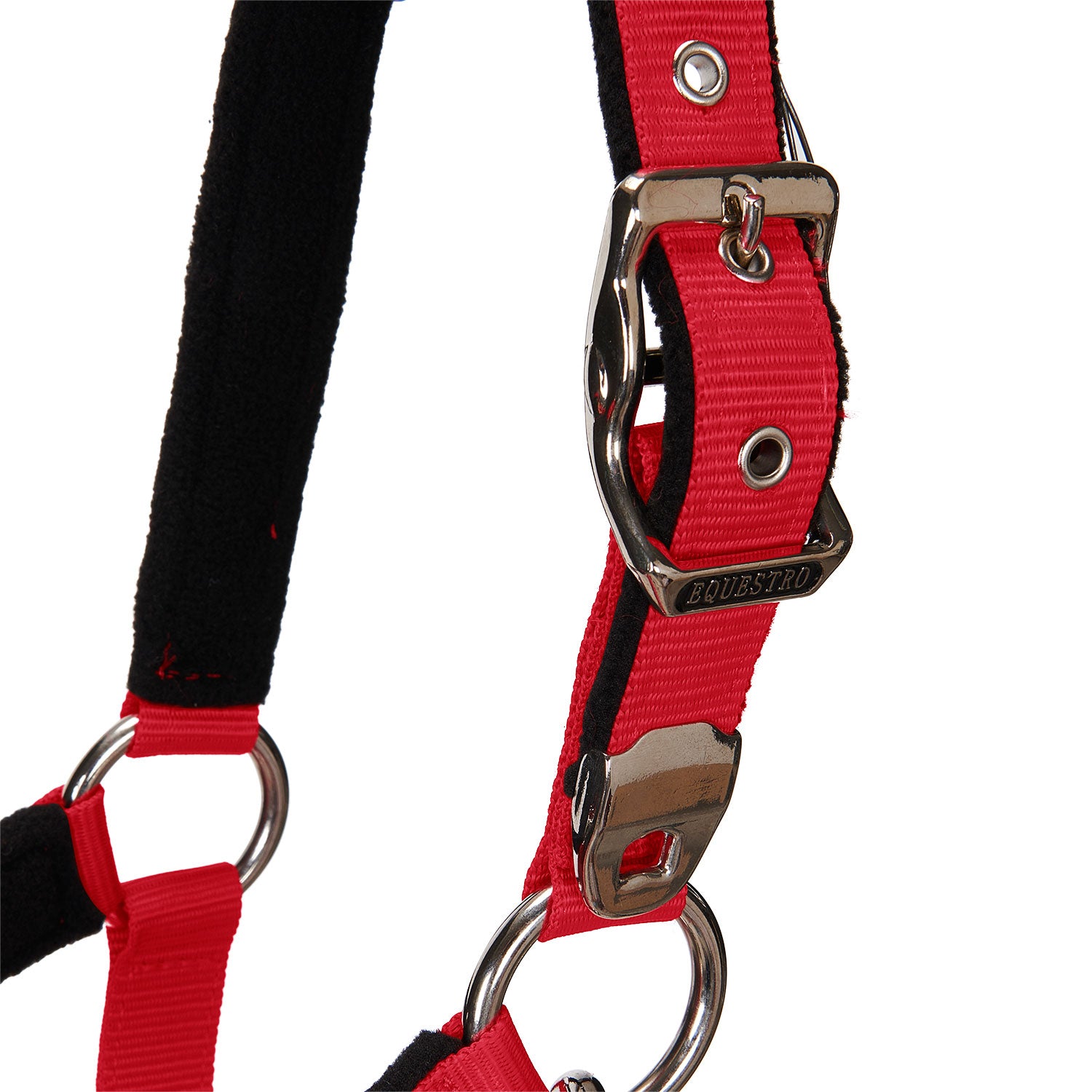 Equestro Cavezza Doppia Regolazione Imbottita