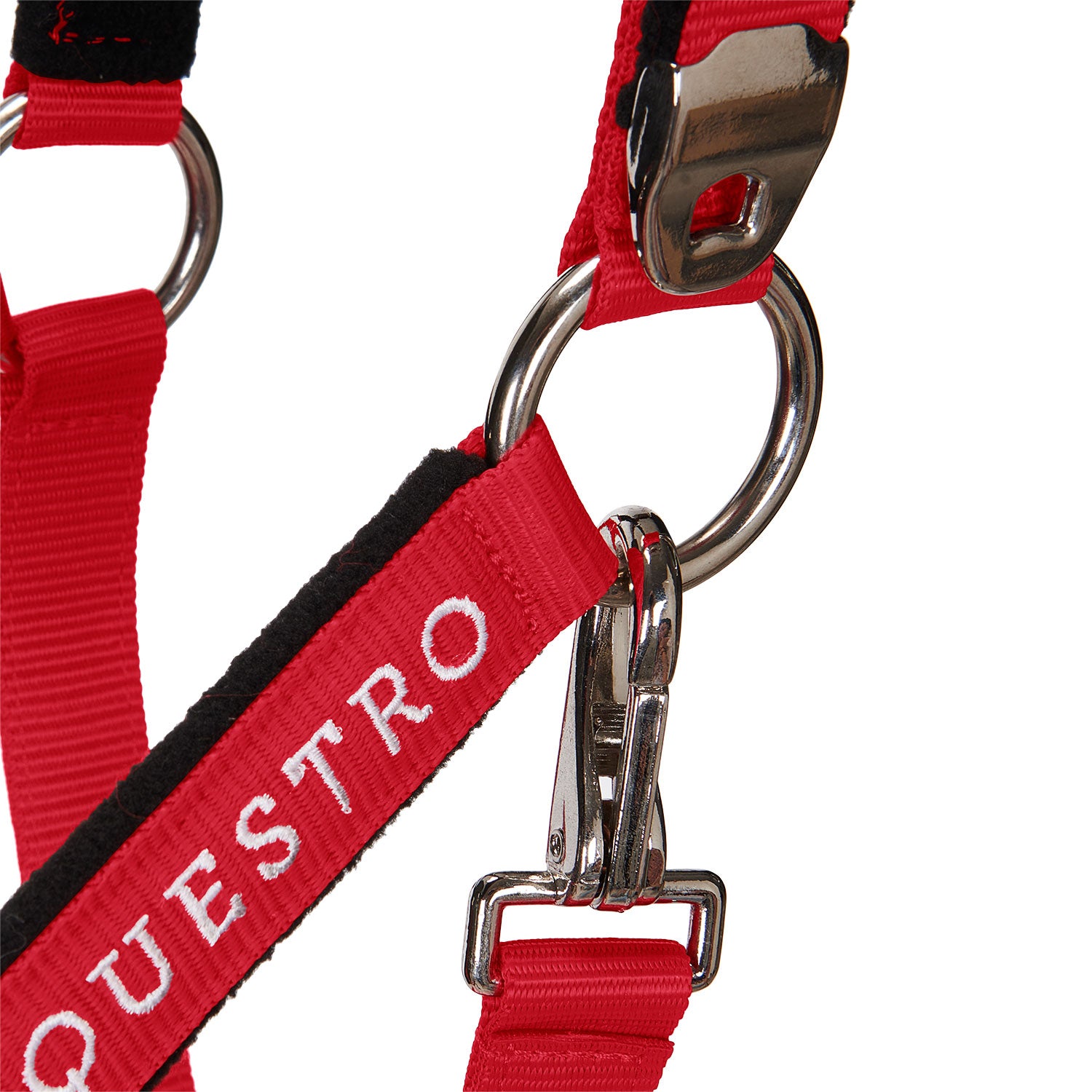 Equestro Cavezza Doppia Regolazione Imbottita