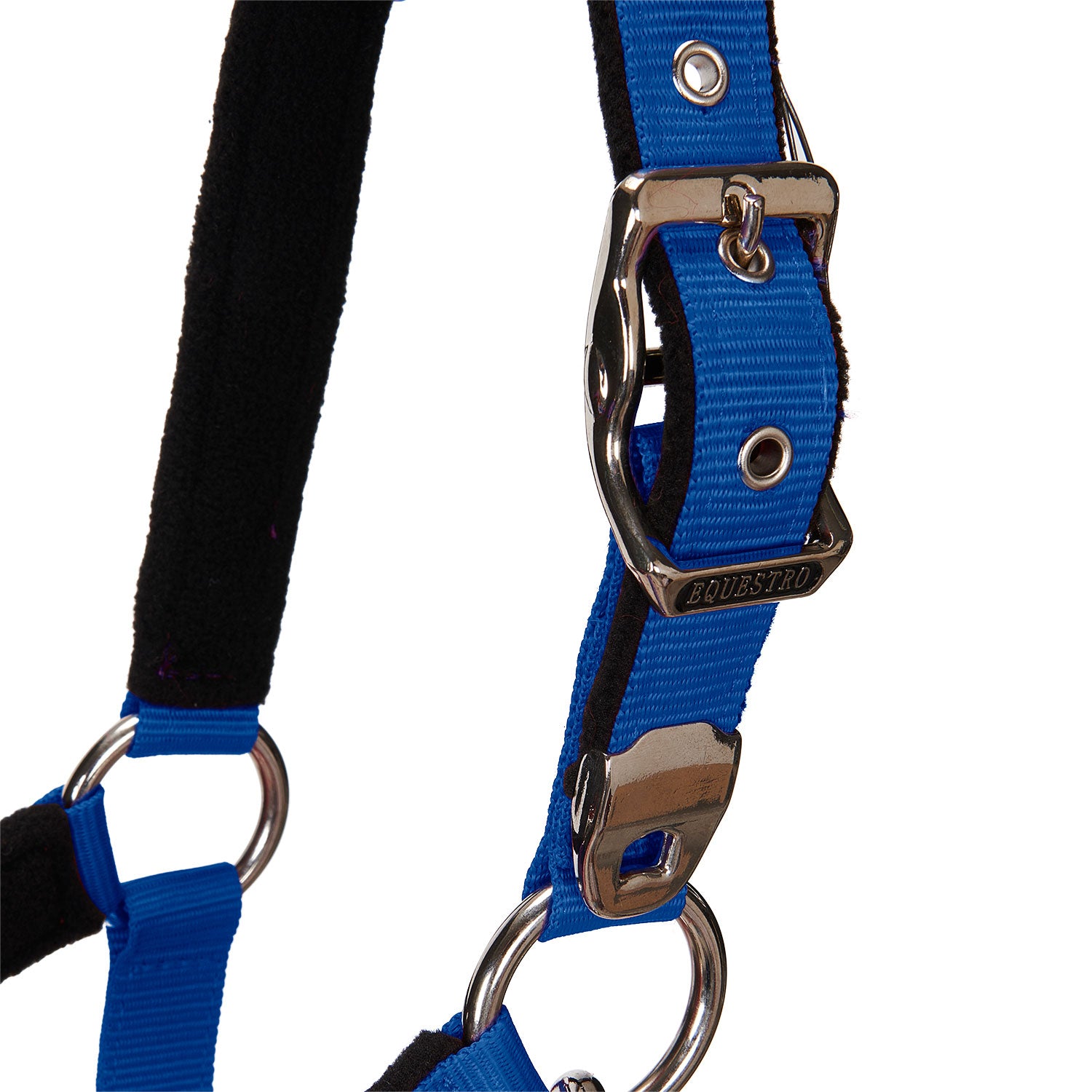 Equestro Cavezza Doppia Regolazione Imbottita