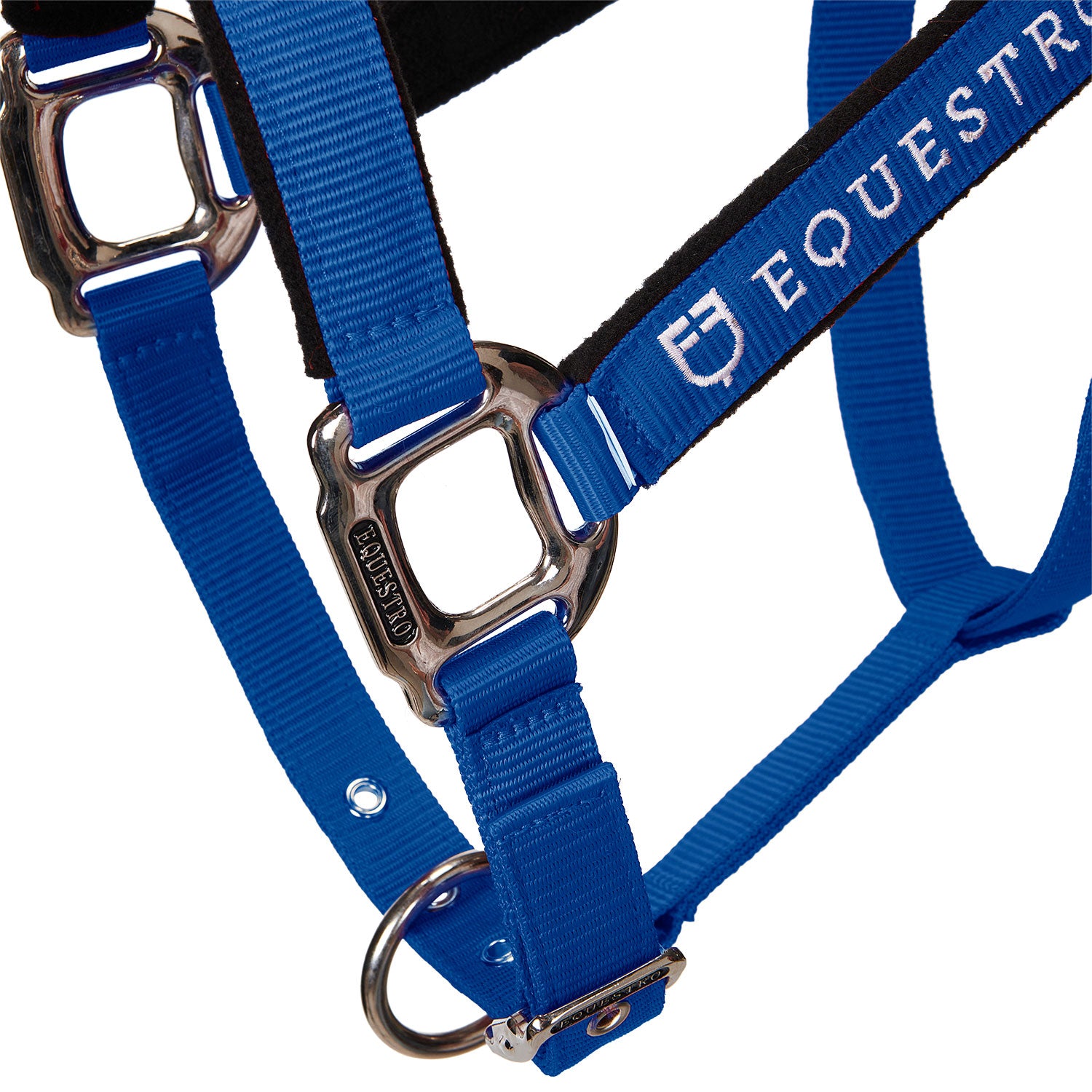 Equestro Cavezza Doppia Regolazione Imbottita