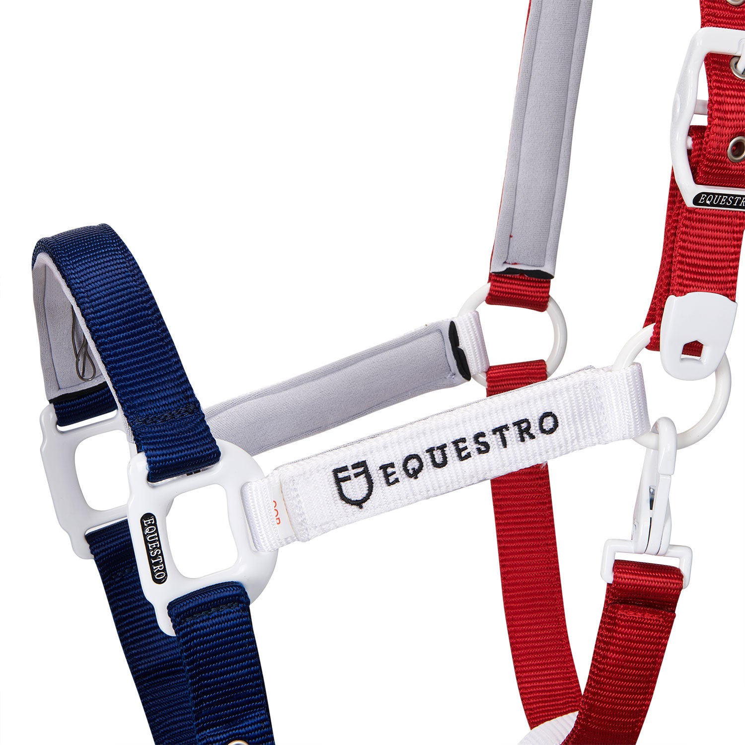 Equestro Cavezza in Nylon con Gancio Moschettone