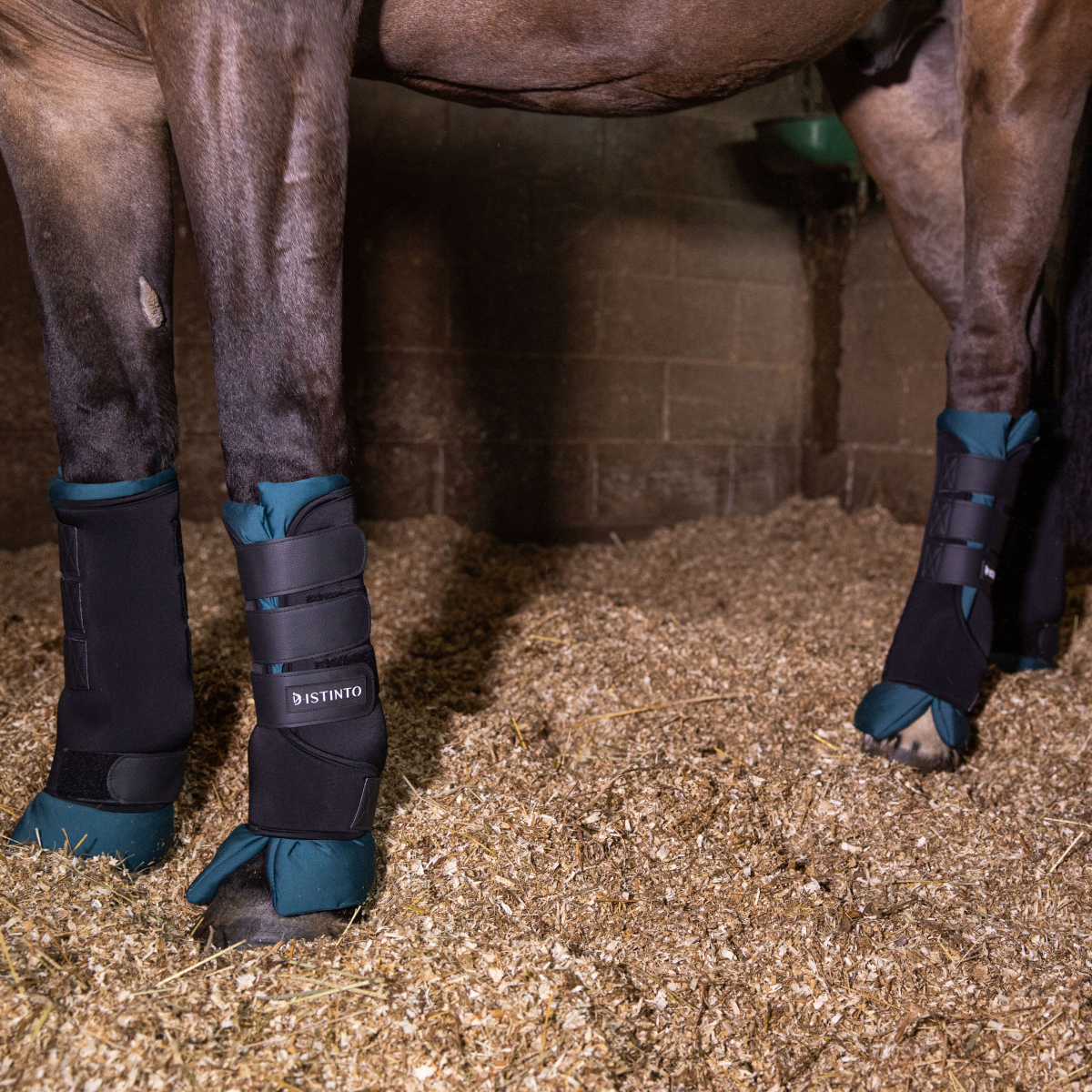 Set Stableboot D-Istinto (Fasce e sottofasce) da riposo con cuscini imbottiti