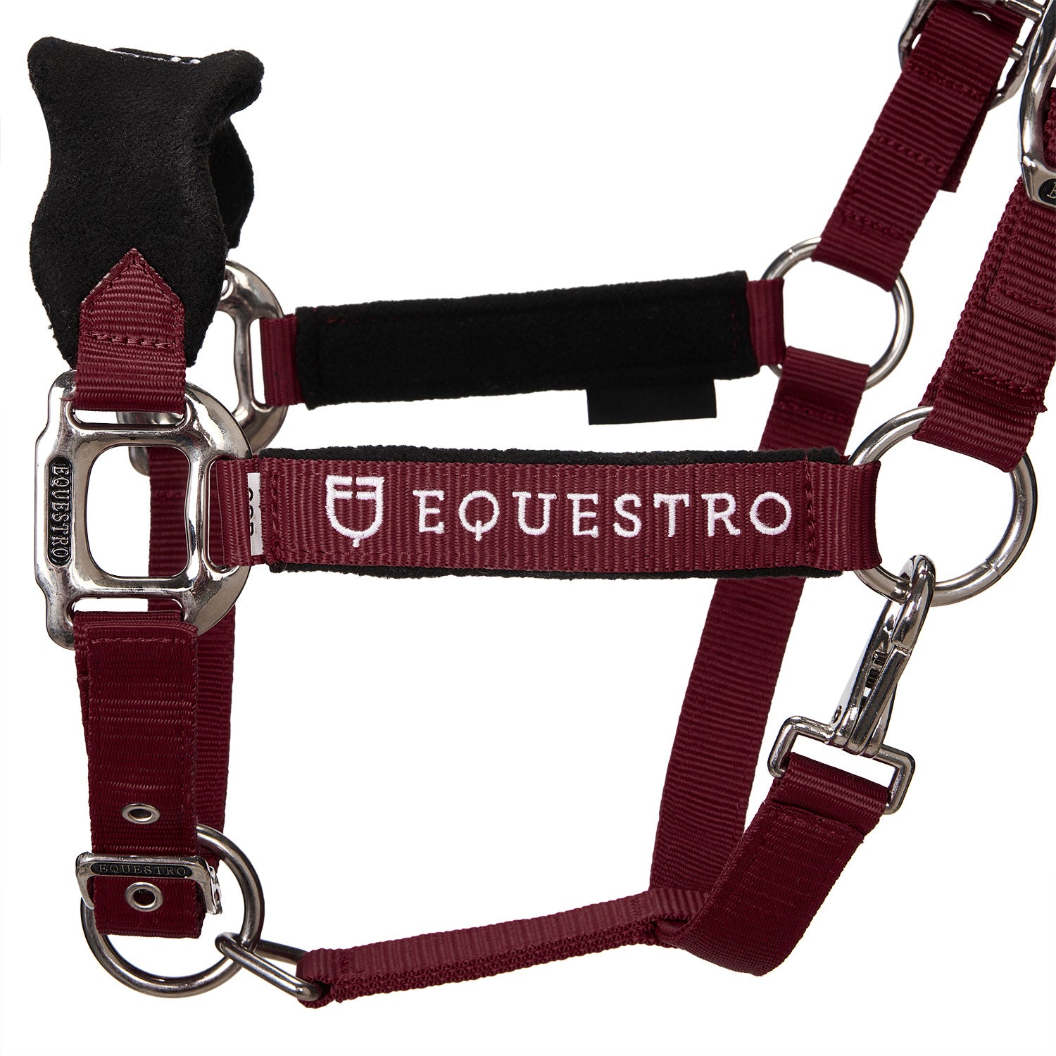 Equestro Cavezza Doppia Regolazione Lunghina Coordinata