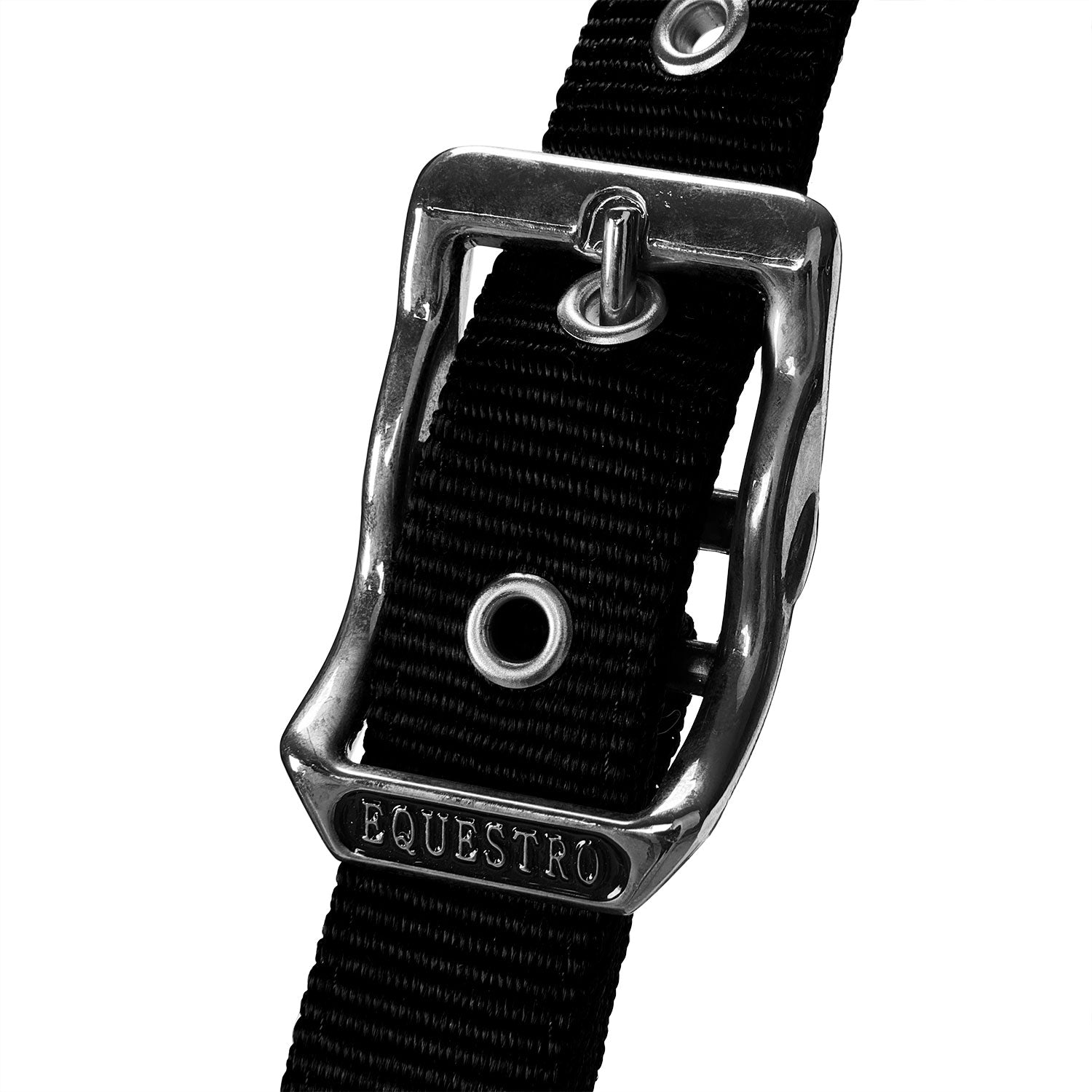 Equestro Cavezza Doppia Regolazione Lunghina Coordinata