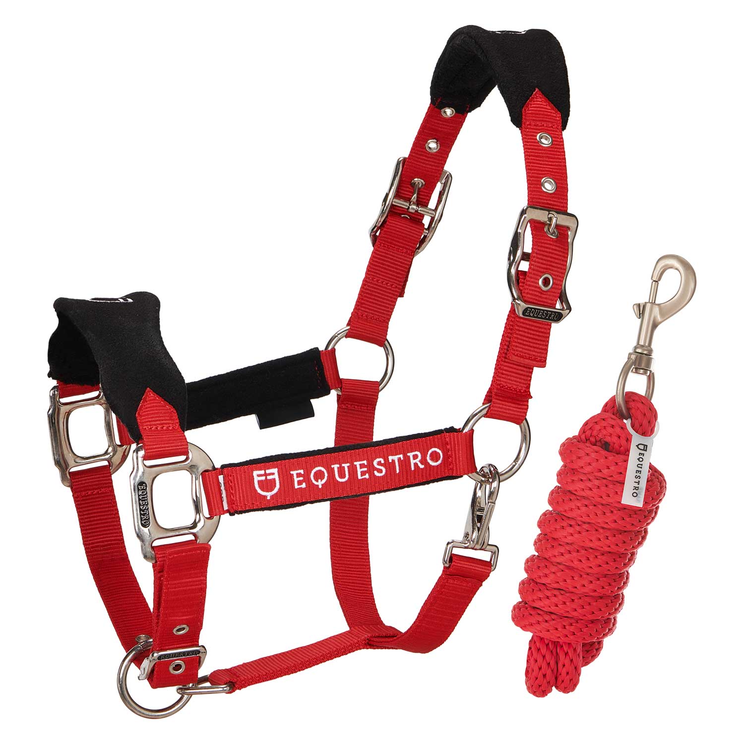 Equestro Cavezza Doppia Regolazione Lunghina Coordinata