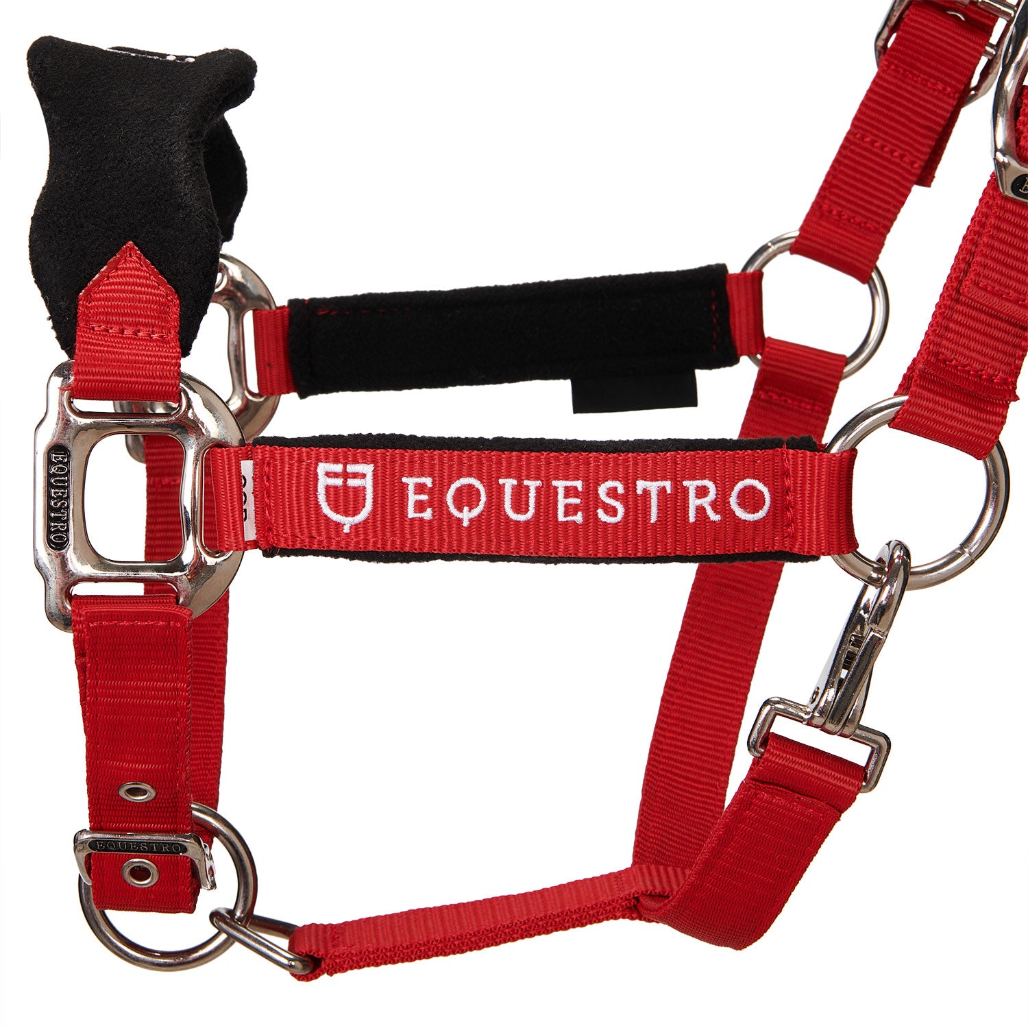 Equestro Cavezza Doppia Regolazione Lunghina Coordinata