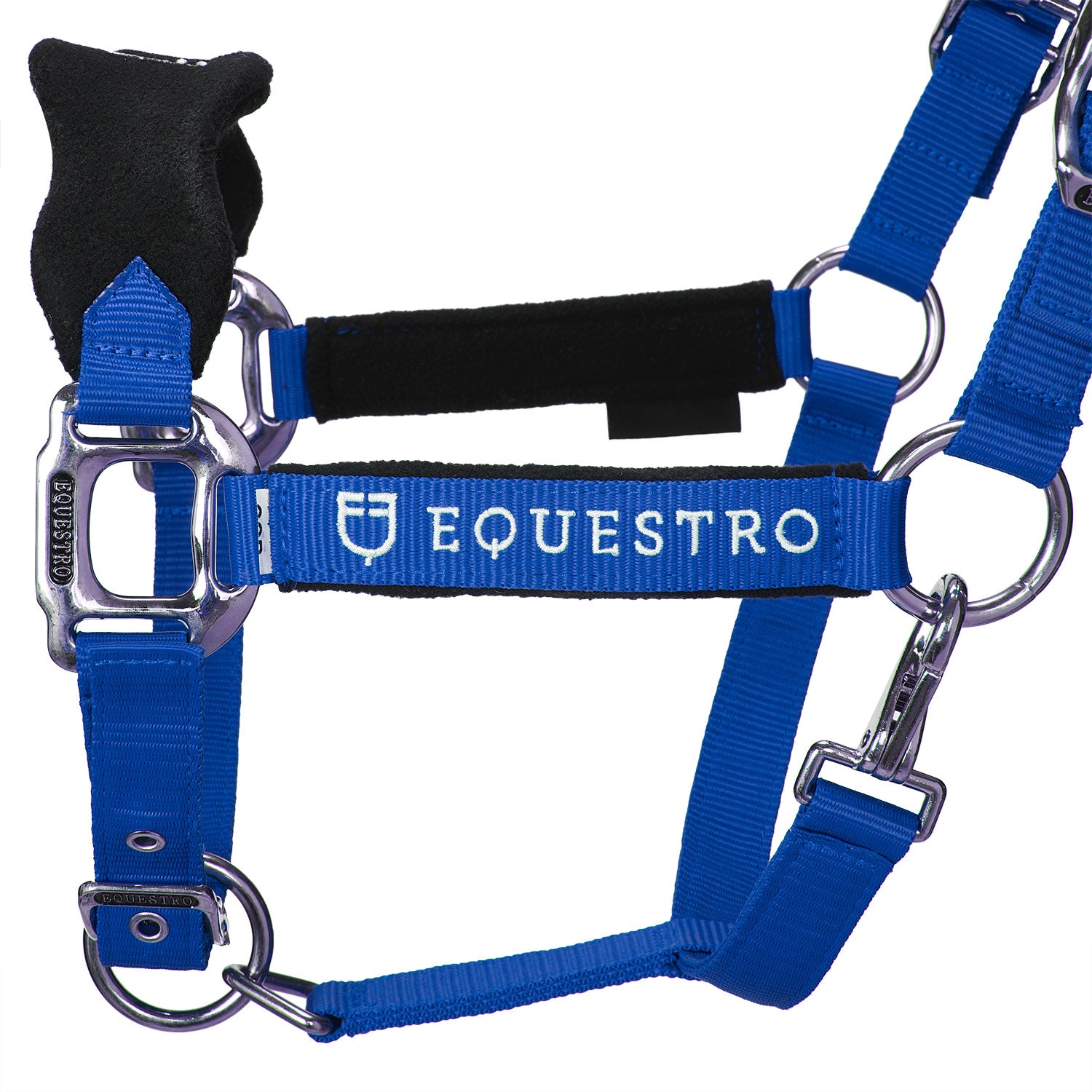 Equestro Cavezza Doppia Regolazione Lunghina Coordinata
