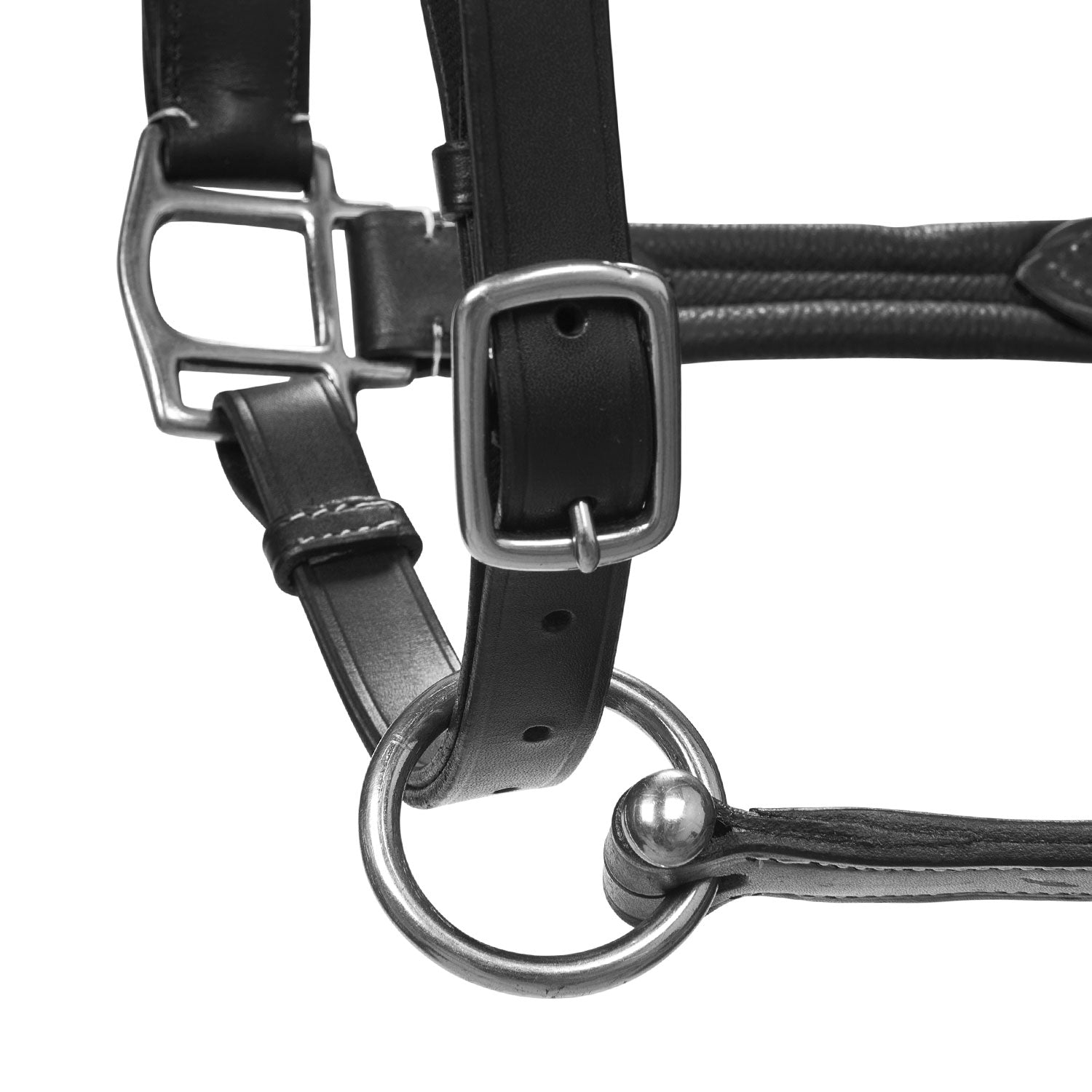 Equestro Cavezza Cuoio Morbido Fibbie Resistenti